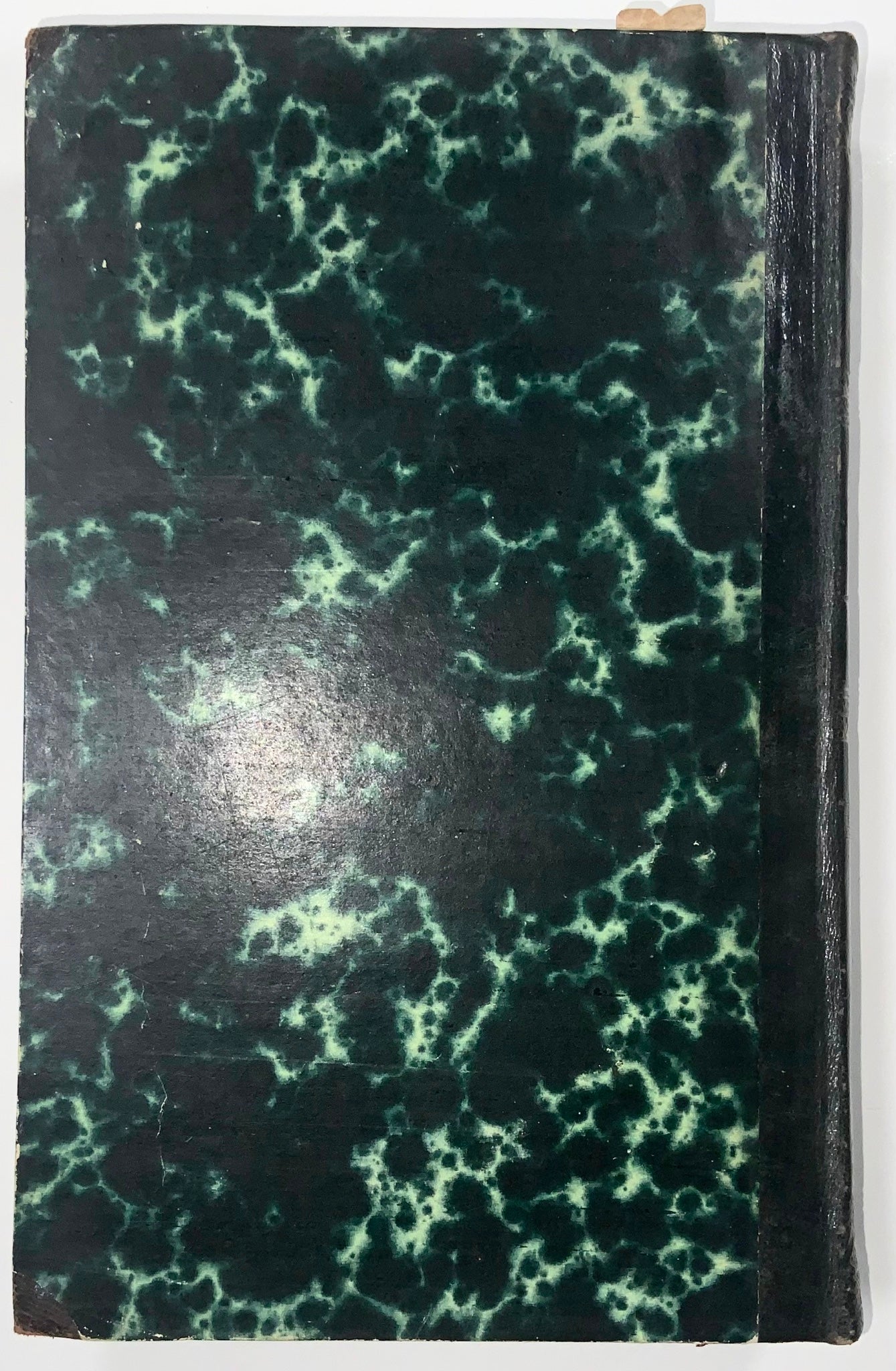 1860 Steiger, Flora des Kantons Luzern, field guide, Switzerland, book