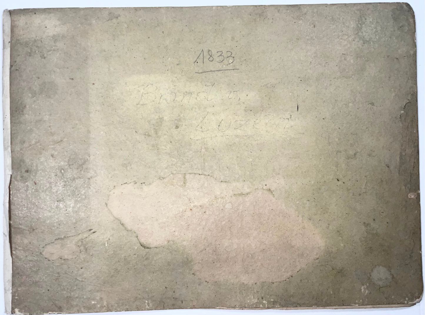 1833 Das Brand-Unglück (Fire) in Lucerne, Illustrated, Switzerland, Book