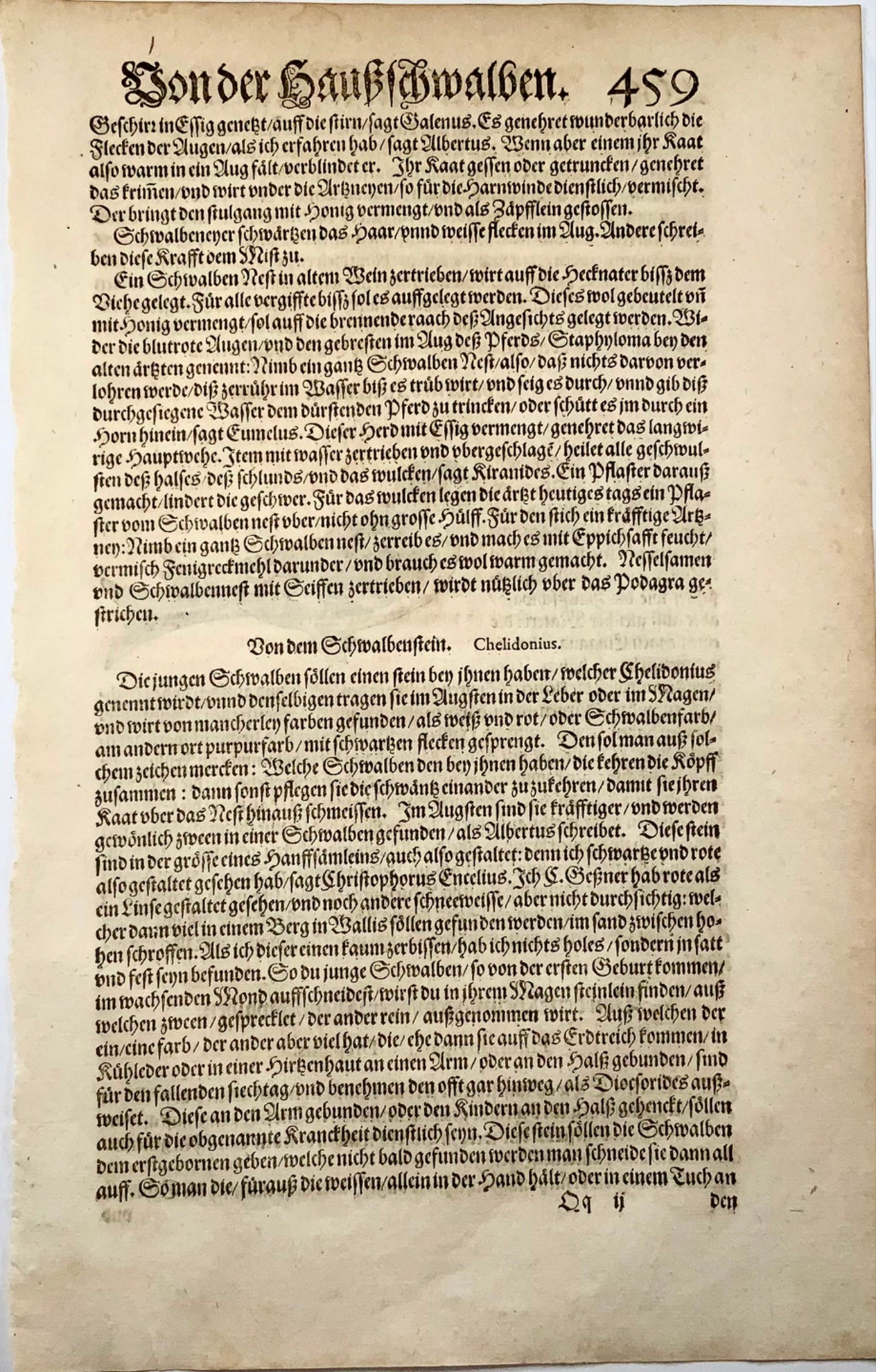 1582 Barn Swallow, Conrad Gesner, ornithology, folio, woodcut, hand coloured