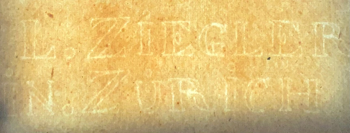 1816 Condor; K. Jos. Brodtmann, Imp. folio 42.5 cm 'Incunabula of Lithography', ornithology