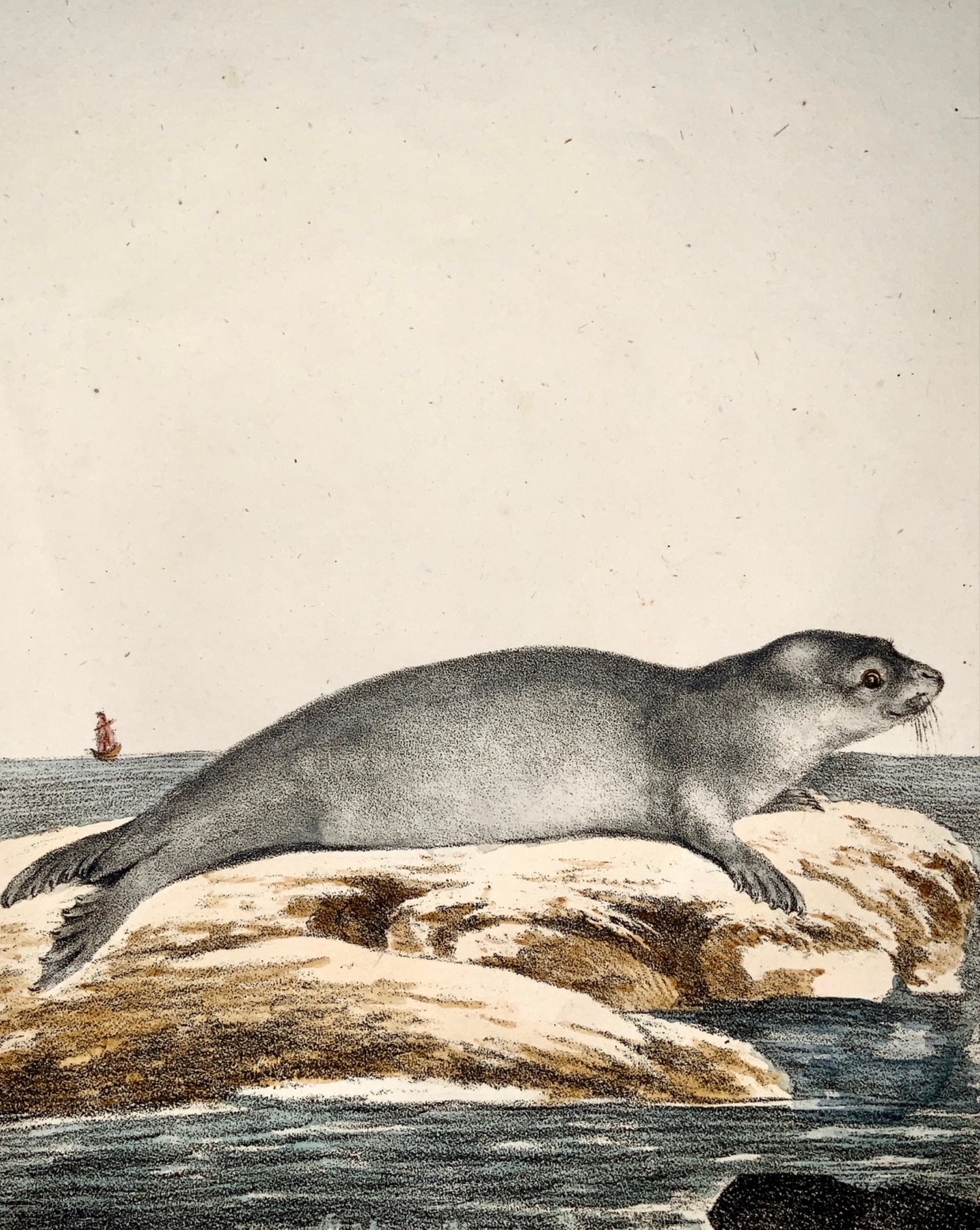 1816 Seal - INCUNABULA OF LITHOGRAPHY. Karl Schmidt, quarto hand coloured.