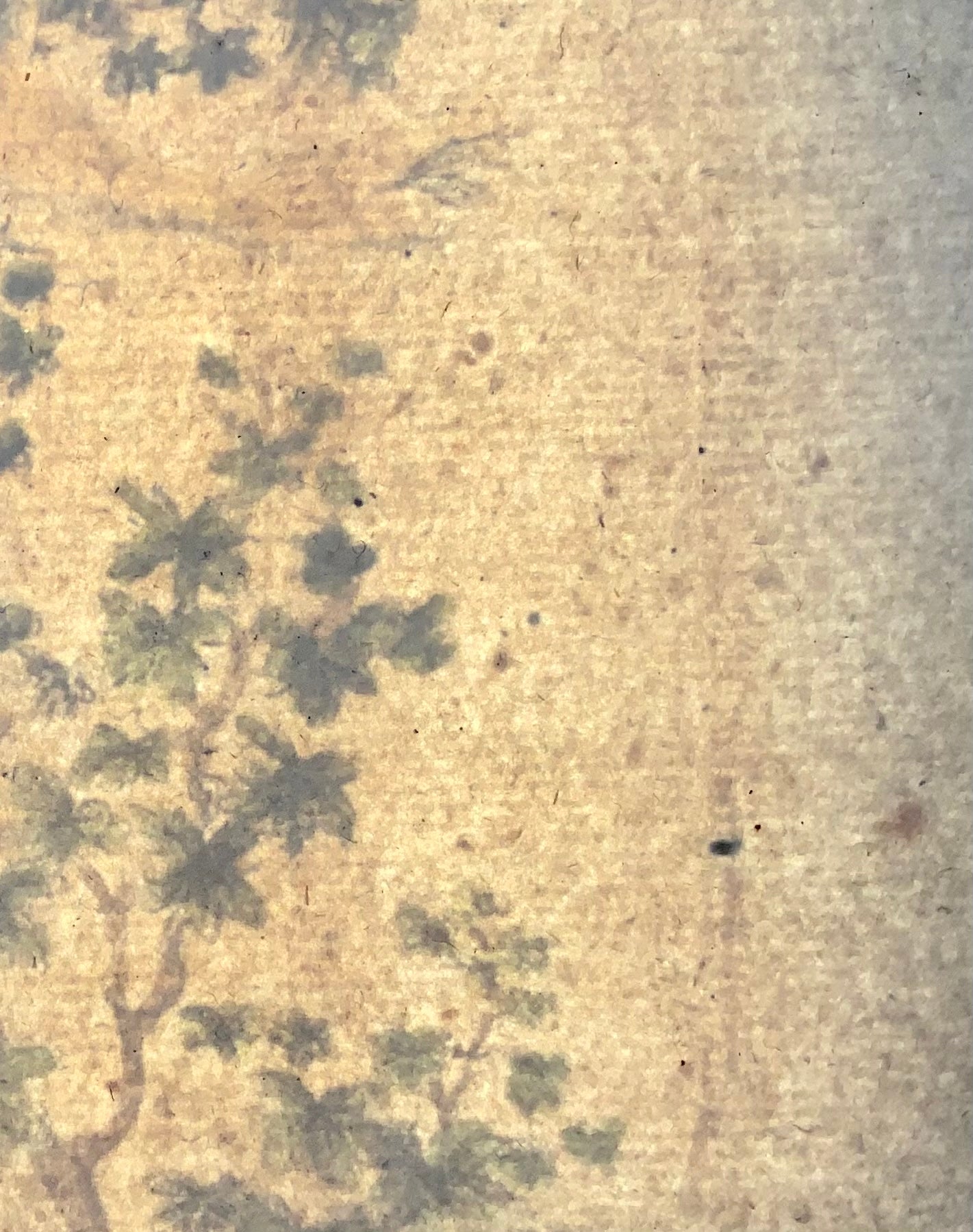 1816 Brodtmann POLYNESIANS Imp. folio 42.5 cm 'Incunabula of Lithography' - Ethnology