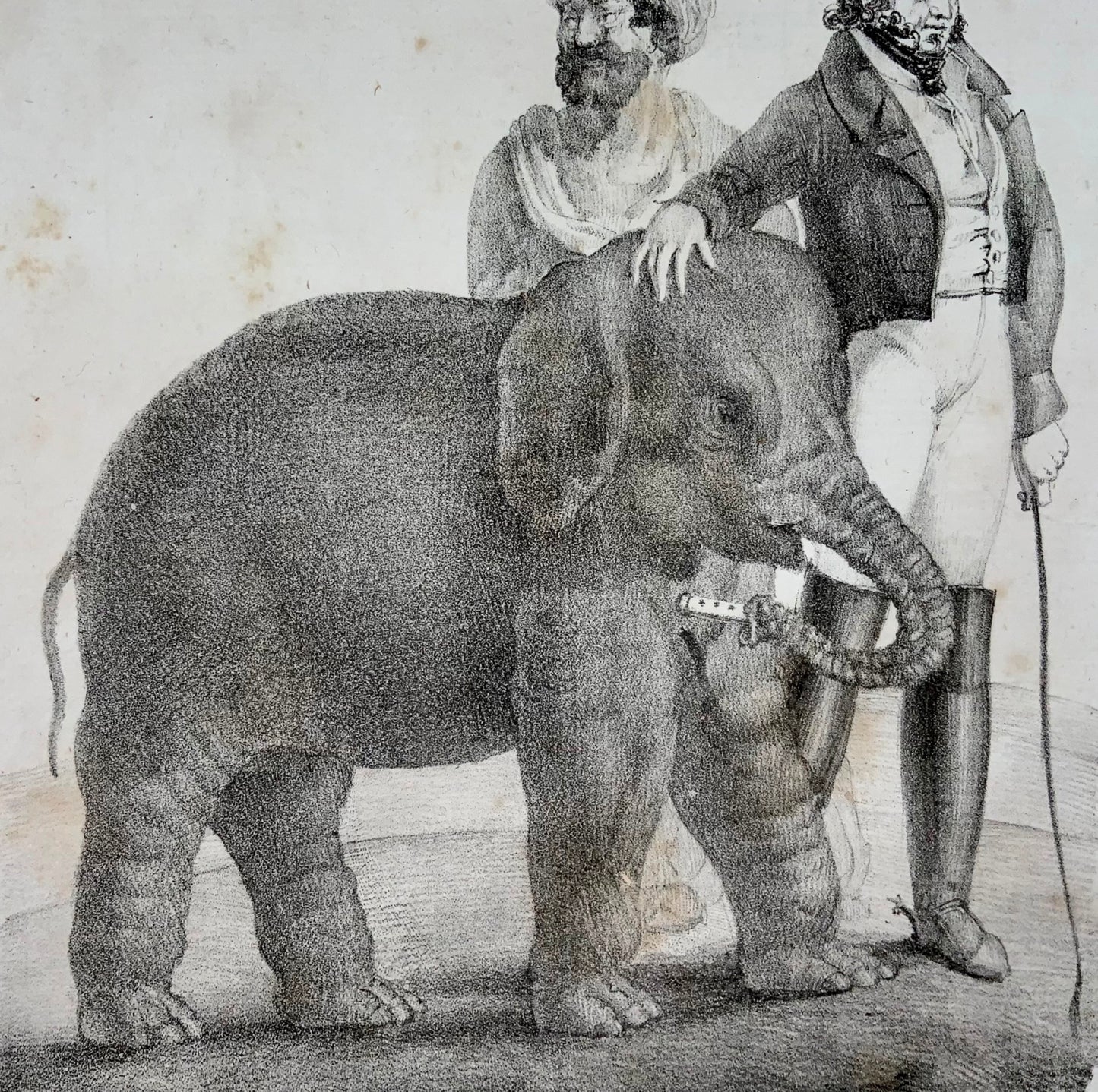 1820c Baba Musical Elephant, Cirque Olympique, Hand bill, stone lithograph, mammal