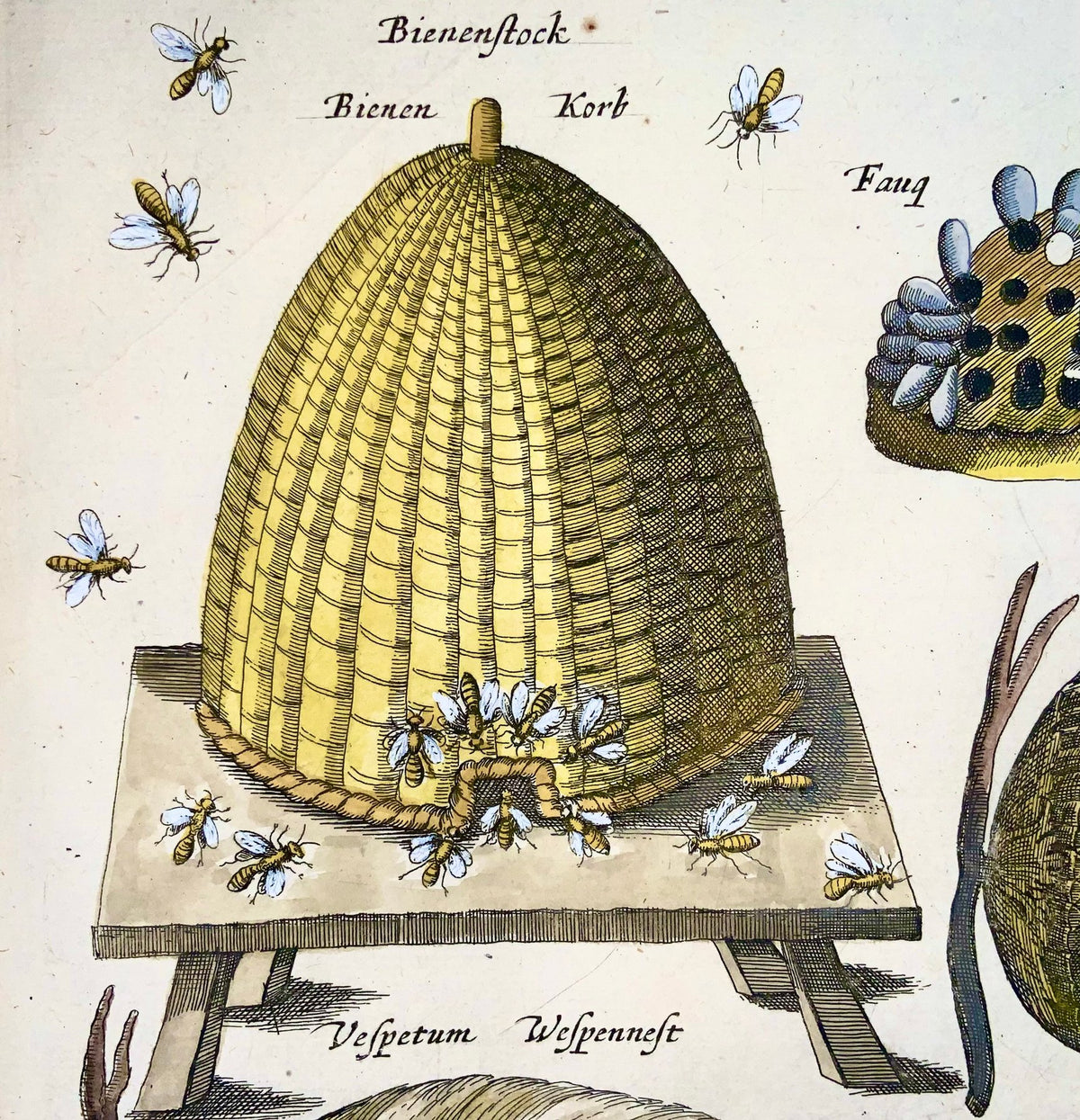1657 Matthäus Merian, hand coloured folio, Bees, Hives, Wasps, Beekeeping, Insects