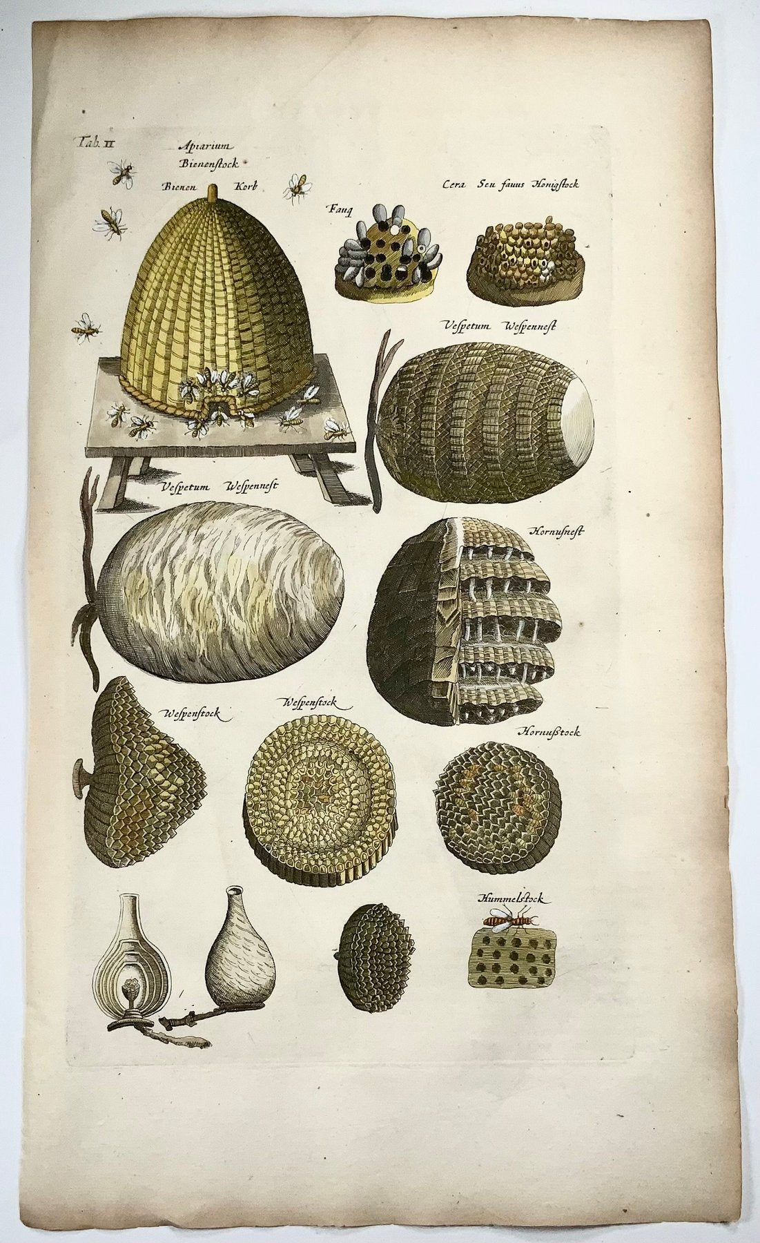 1657 Matthäus Merian, hand coloured folio, Bees, Hives, Wasps, Beekeeping, Insects