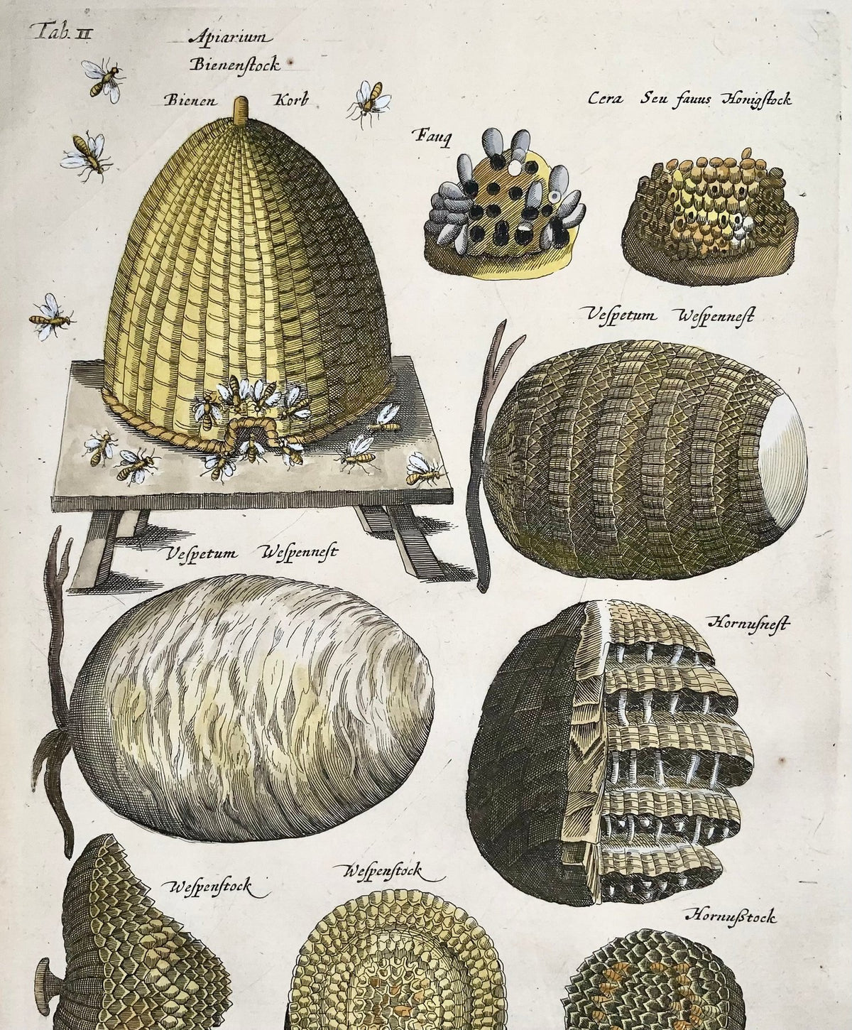 1657 Matthäus Merian, hand coloured folio, Bees, Hives, Wasps, Beekeeping, Insects
