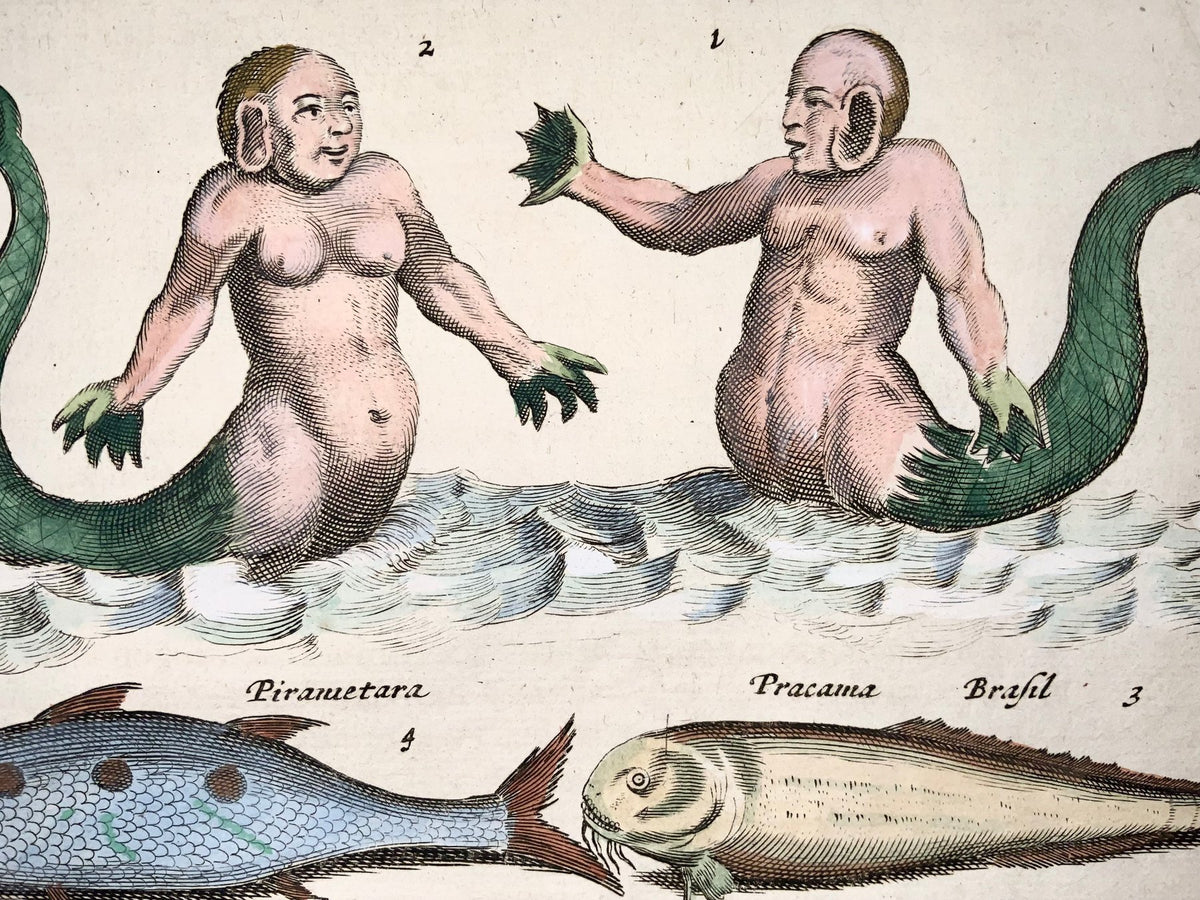 1657 Matthäus Merian - Hand coloured folio, Mermaids, Mythical Creatures, Exotic fish