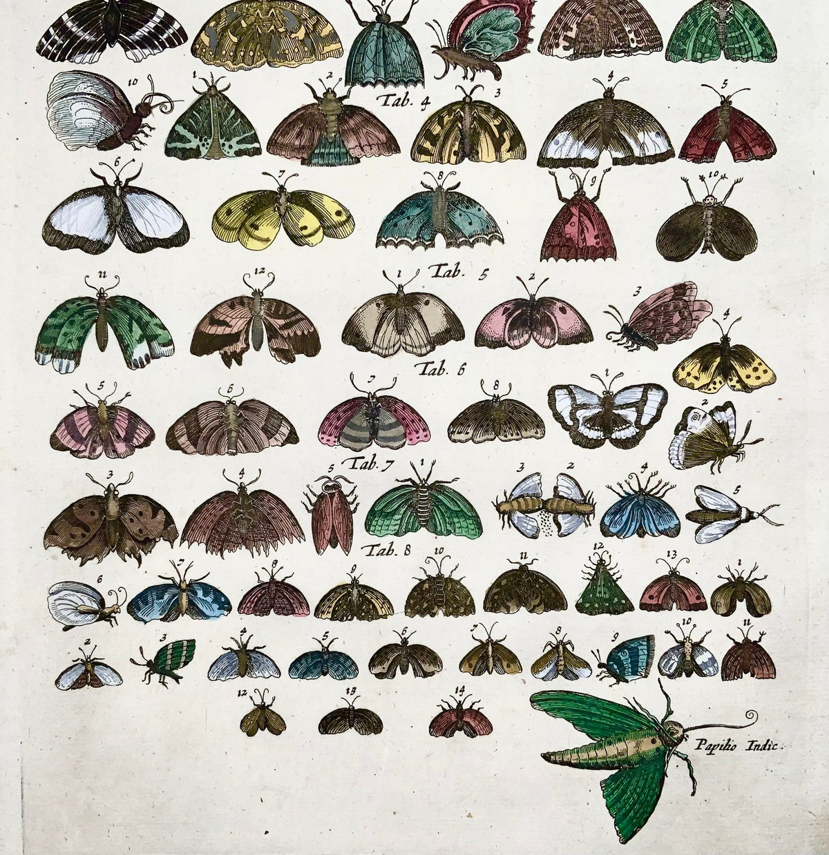 1657 Matthäus Merian (1593-1650) - Hand coloured engraving: Butterflies, Moths, Insects