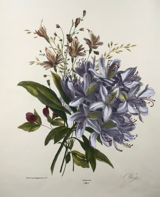1836 Bouquet of flowers, botany, Weiss; Desguerrois, 35cm, original hand colour