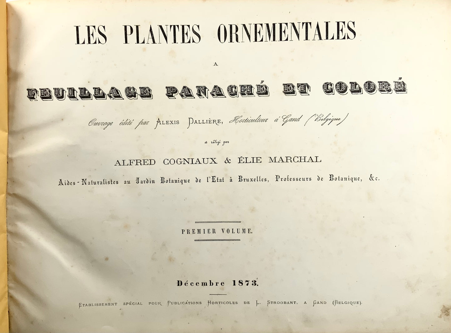 1873-74 Dallière, 2 volumi in folio oblunghi su piante variegate, 60 tavole pregiate, edizione unica di botanica