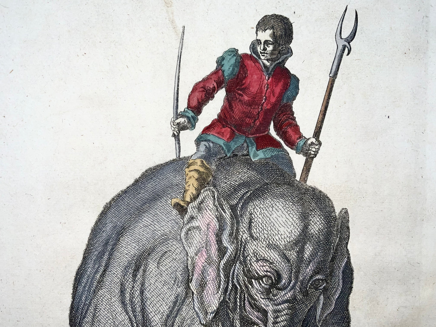 1657 Matthäus Merian (1593-1650) Hand coloured folio - Elephant with Rider, Mammal