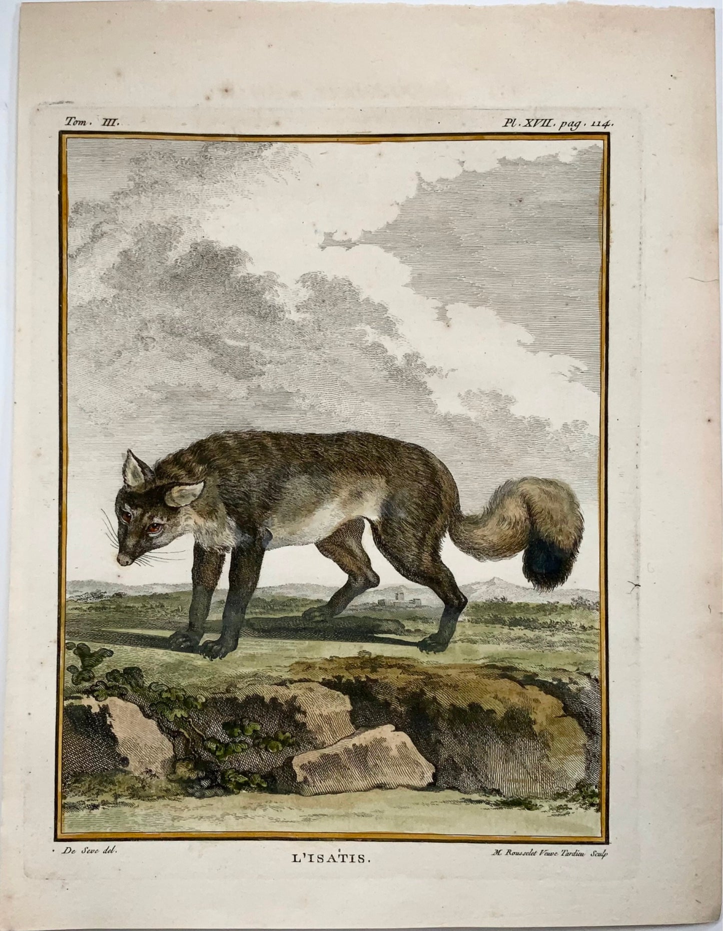 1779 Arctic Fox - J. de Seve, Mammal, 4to engraving