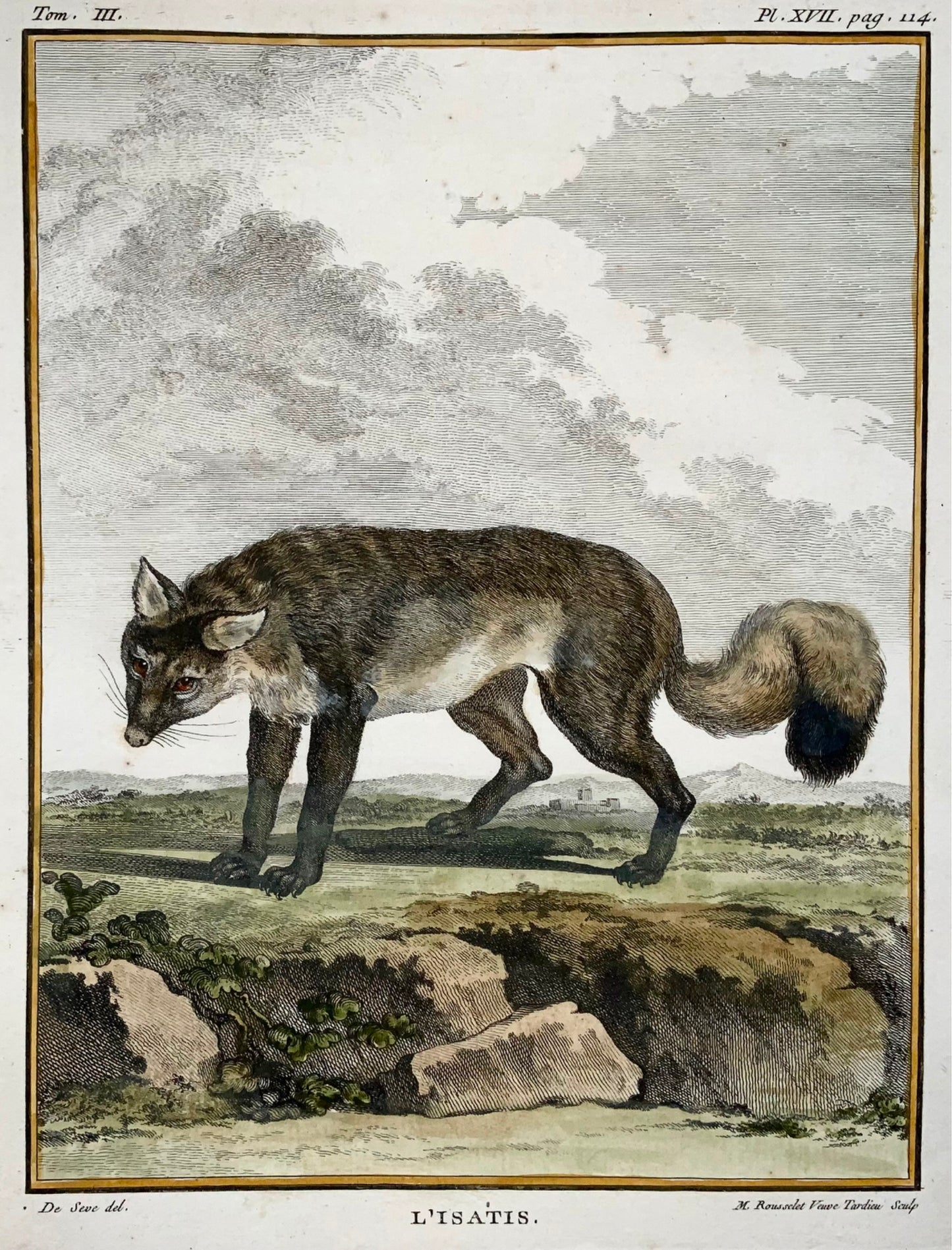 1779 Arctic Fox - J. de Seve, Mammal, 4to engraving