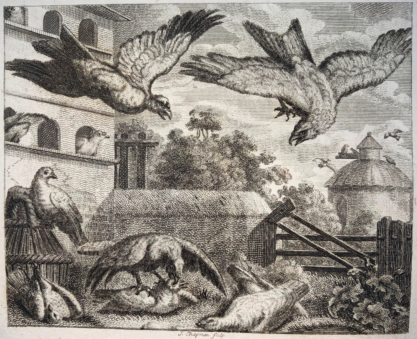 1793 Pigeon & Kite, Chapman sc., Aesop fable, etching
