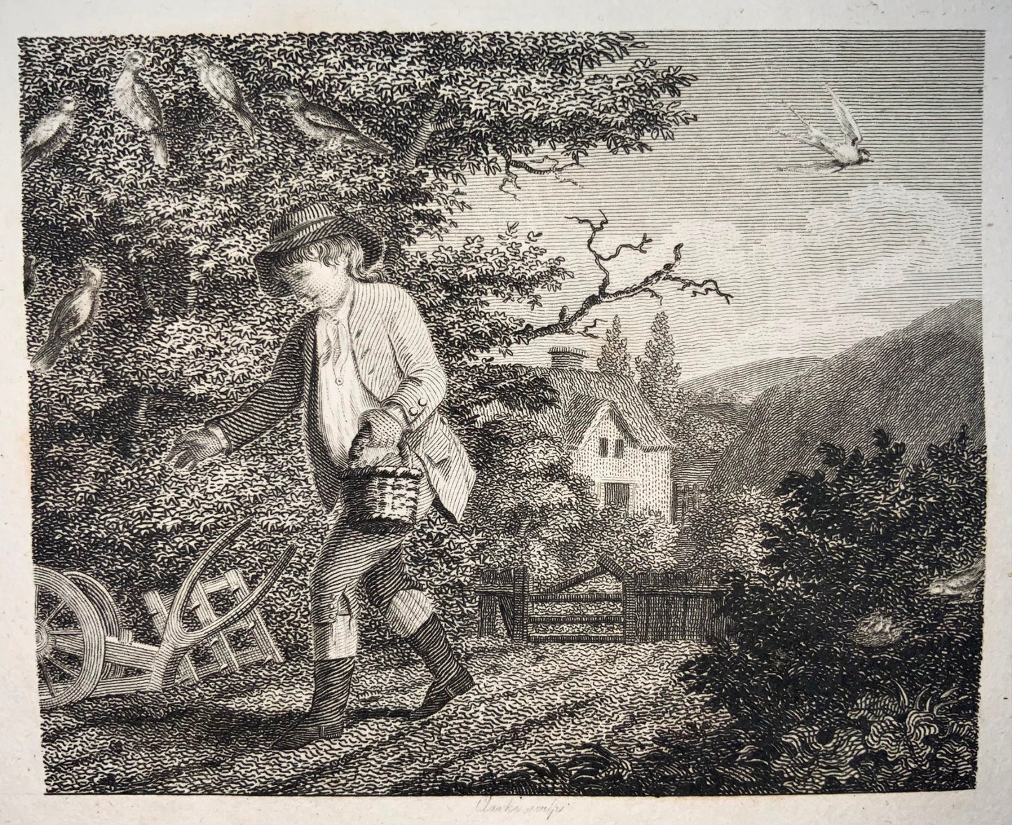 1793 Swallow & other Birds, Clarke sc., Aesop fable, etching