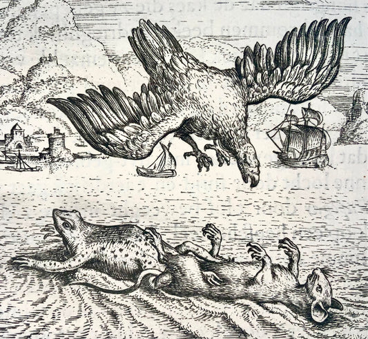 1617 Gheeraerts, Master Engraving, Aesop: the Frog, Rate and Eagle, Fable