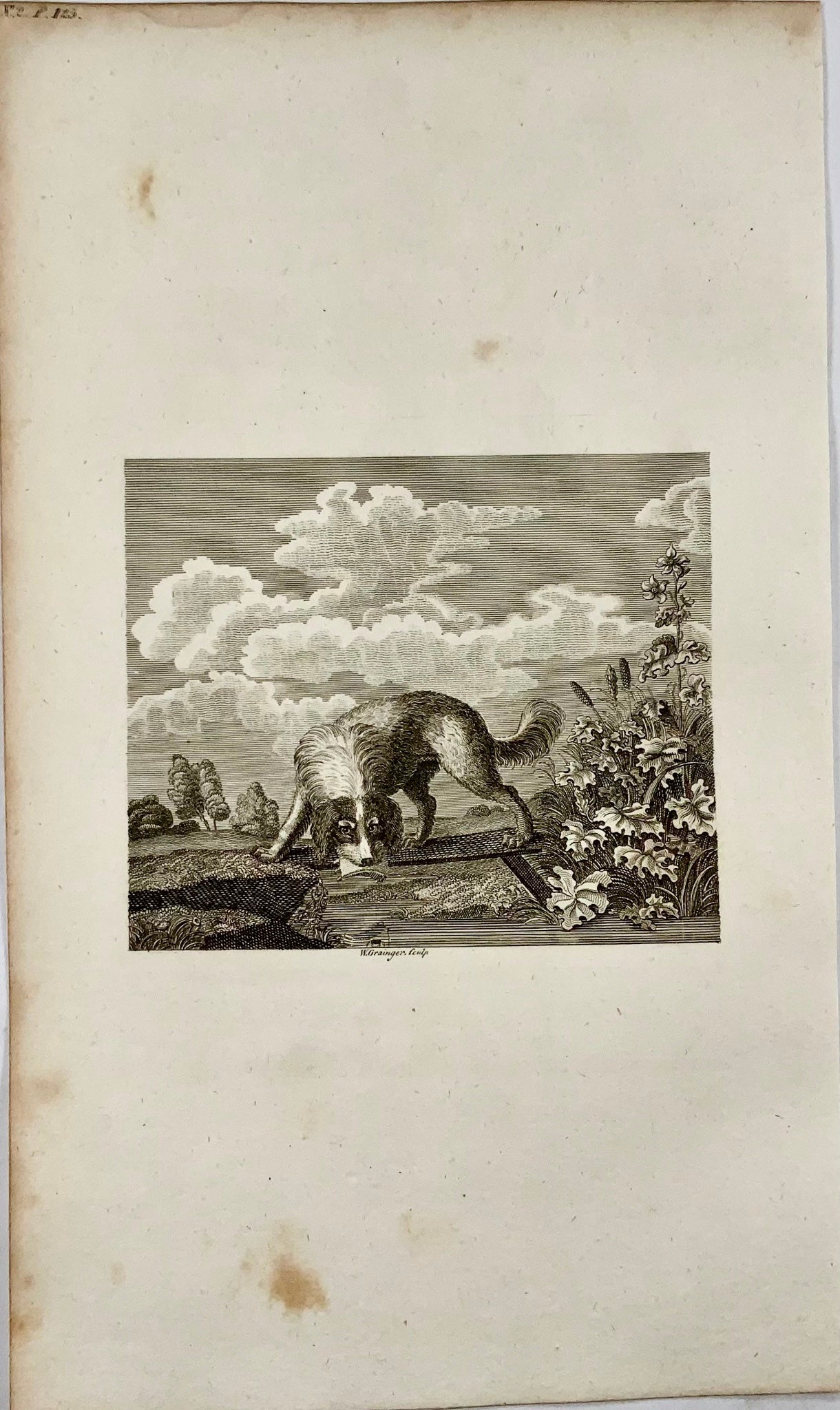 1793 The Dog & his Shadow, Grainger sc., Aesop fable, etching