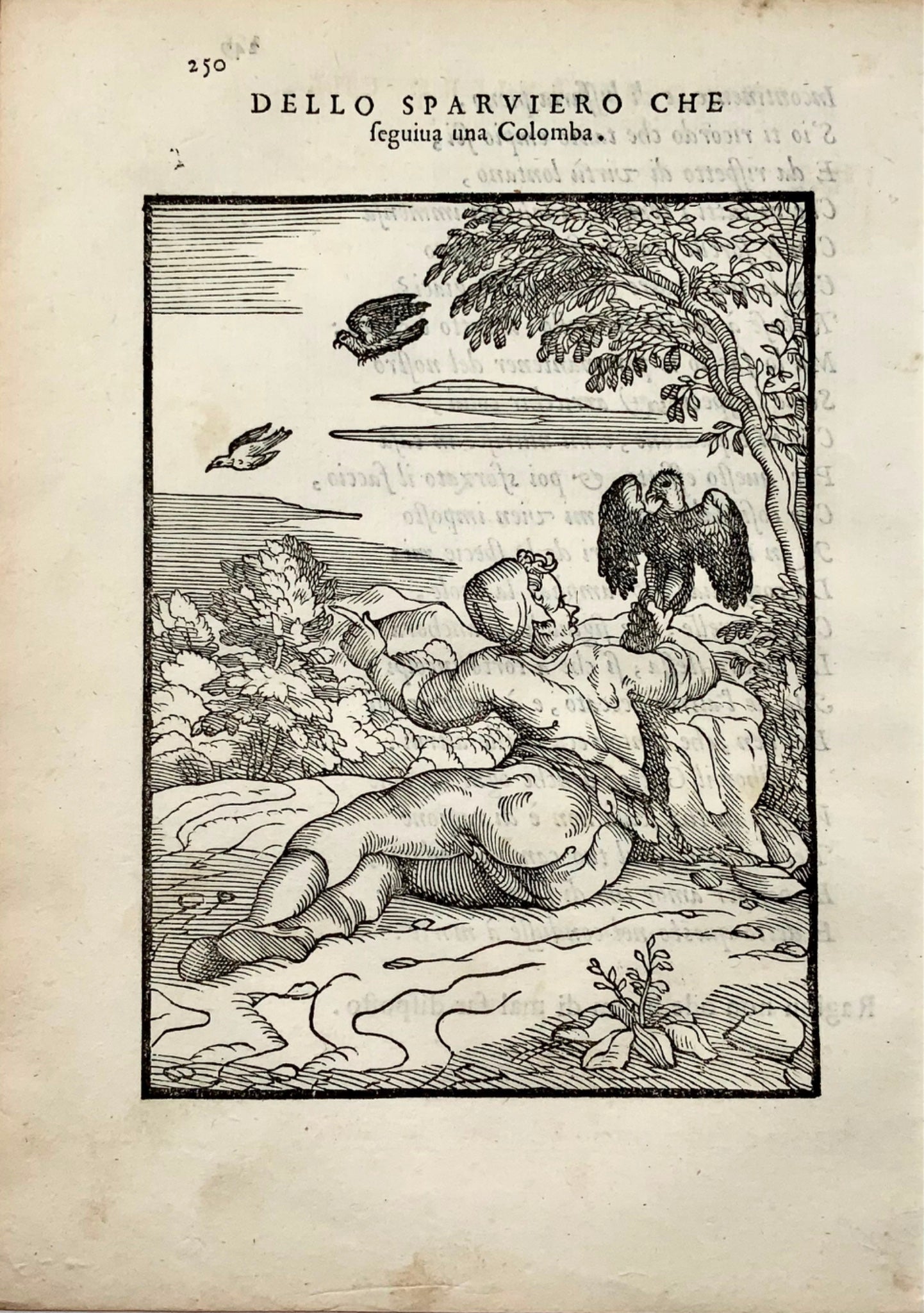 1570 Jour. M. Verdizzotti (b1525) Épervier et pigeon, feuille gravée sur bois, fables