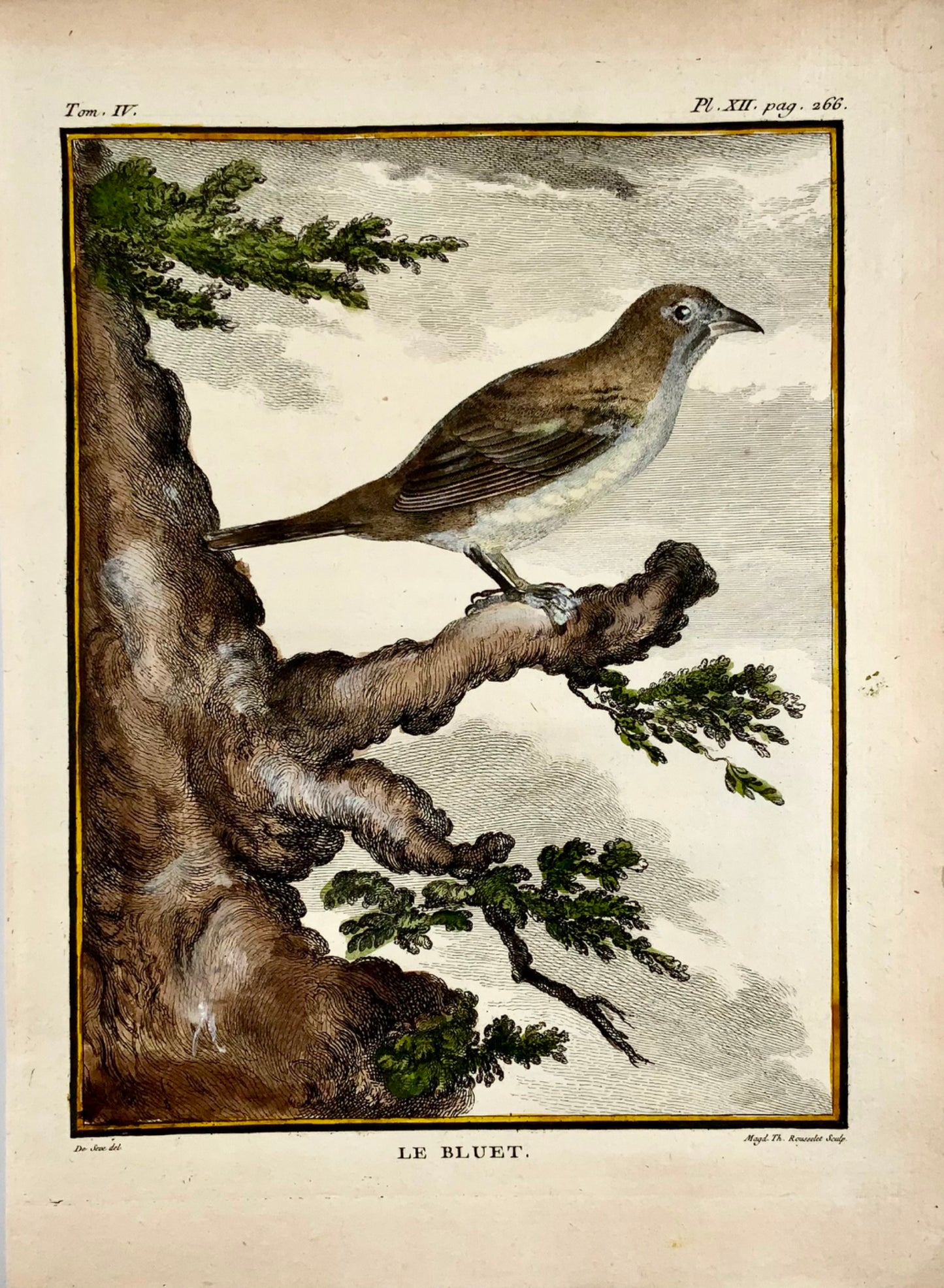 1779 de Seve - “Le Bluet” - Ornitologia - 4to Grande incisione Edn