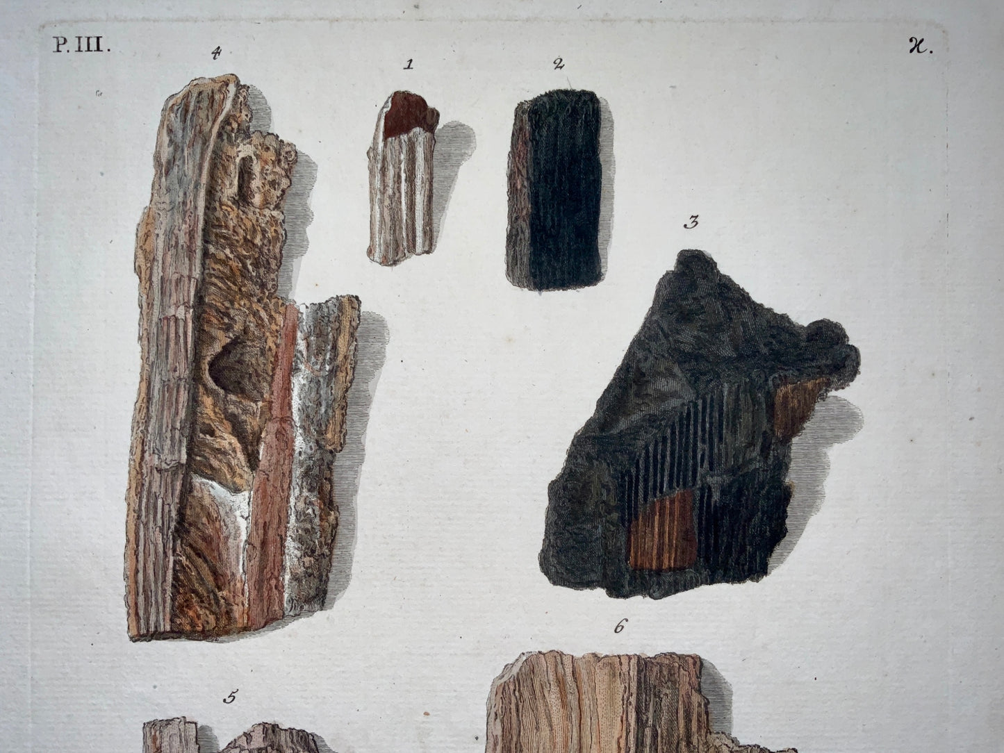 G. W. Knorr (1705-1761); Leinberger - Paleontology Ex Museo Schmidel - Folio hc - Fossils