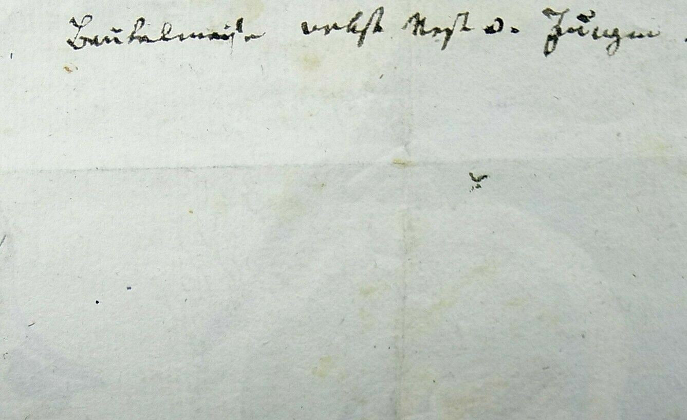 vers 1790 Torcol fourmilier avec nid suspendu, crayon et encre de Chine, anonyme,