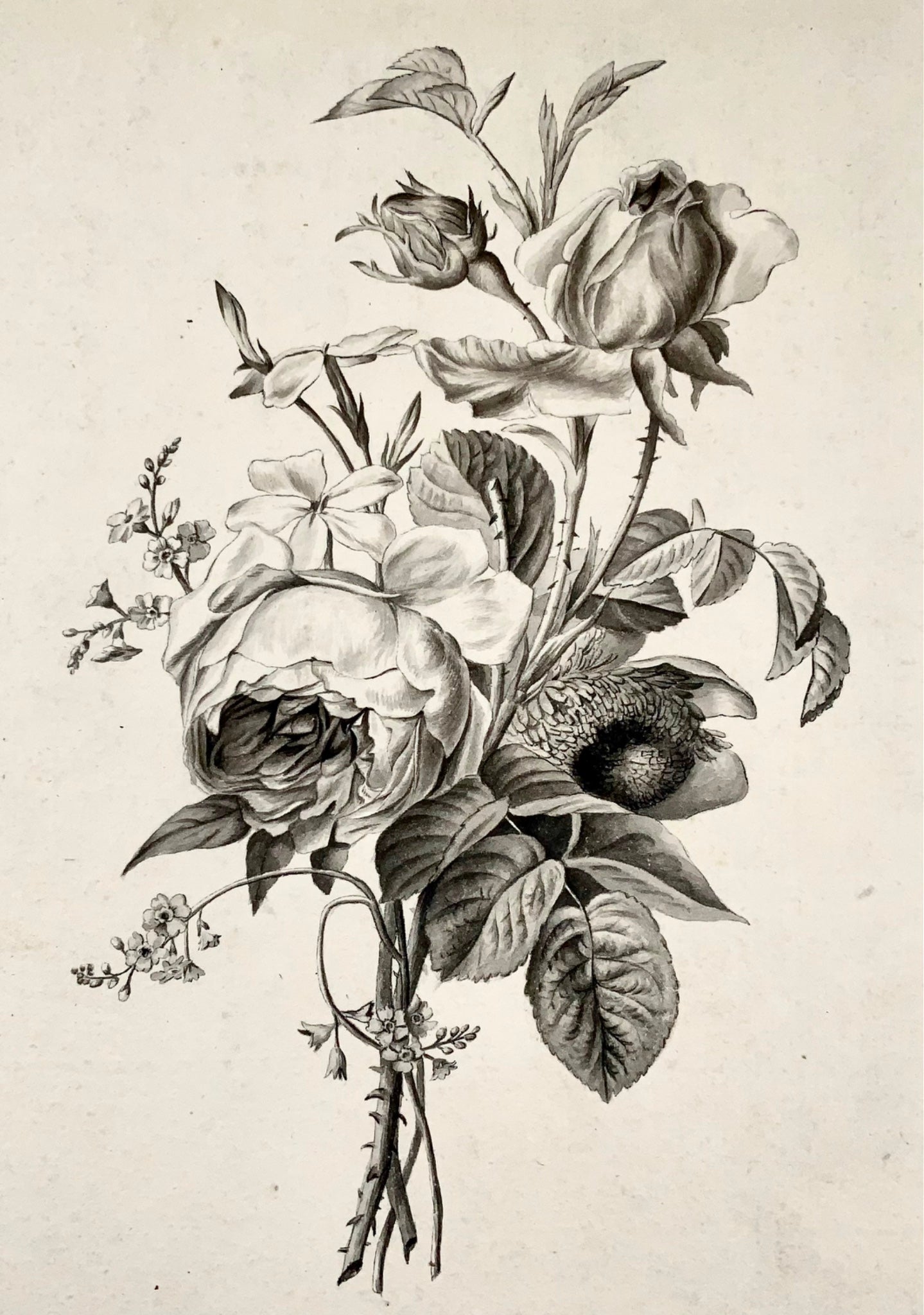 Jean-Baptist Huet, the younger [(1772-1852) attrib.], Bouquet Flowers pen & wash, flowers and botany