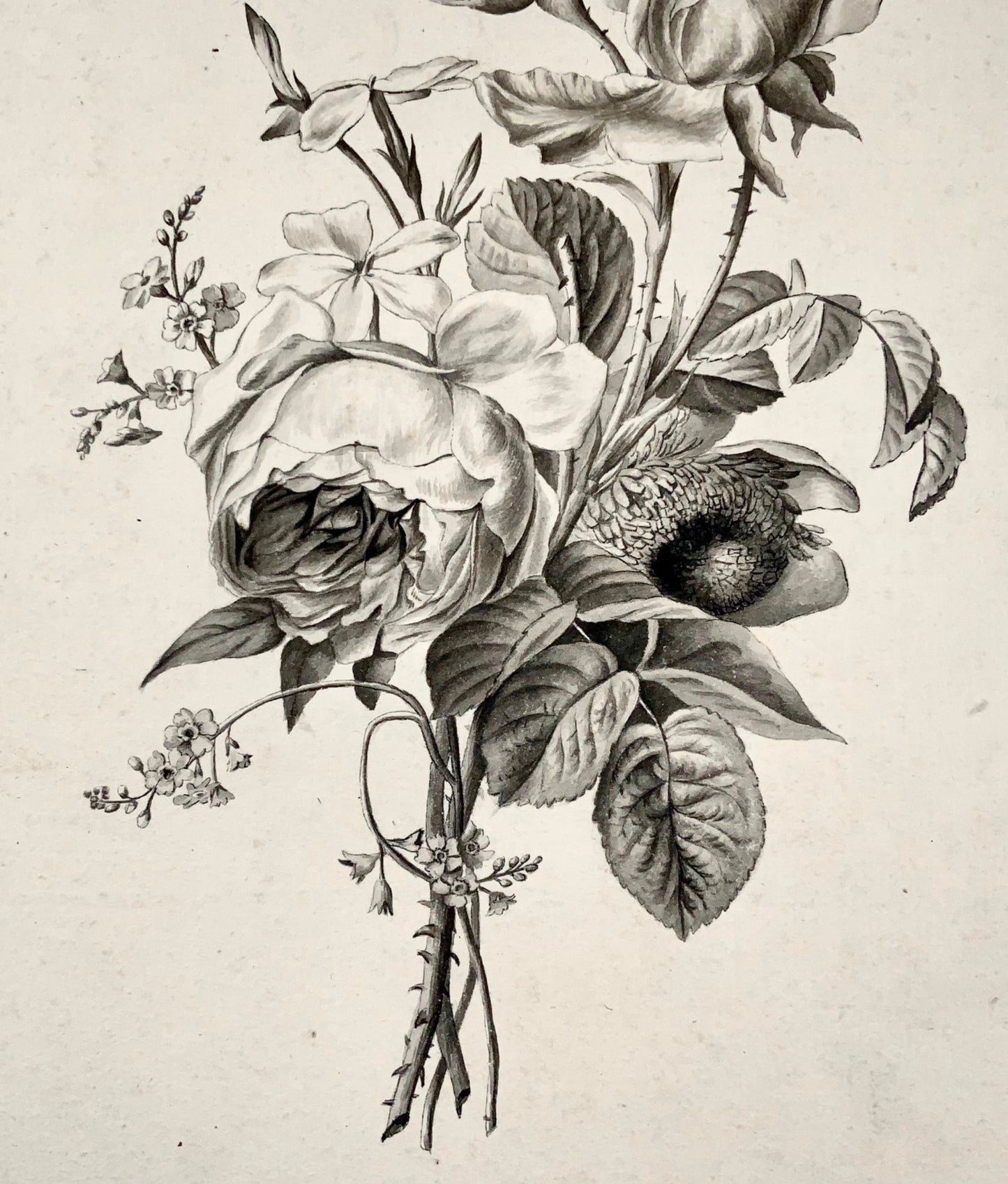 Jean-Baptist Huet, the younger [(1772-1852) attrib.], Bouquet Flowers pen & wash, flowers and botany