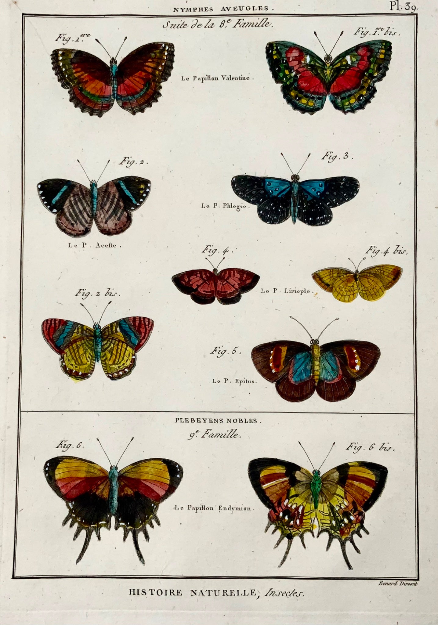 1794 Butterflies, Nymphes Aveugles, Latreille, hand coloured quarto engraving