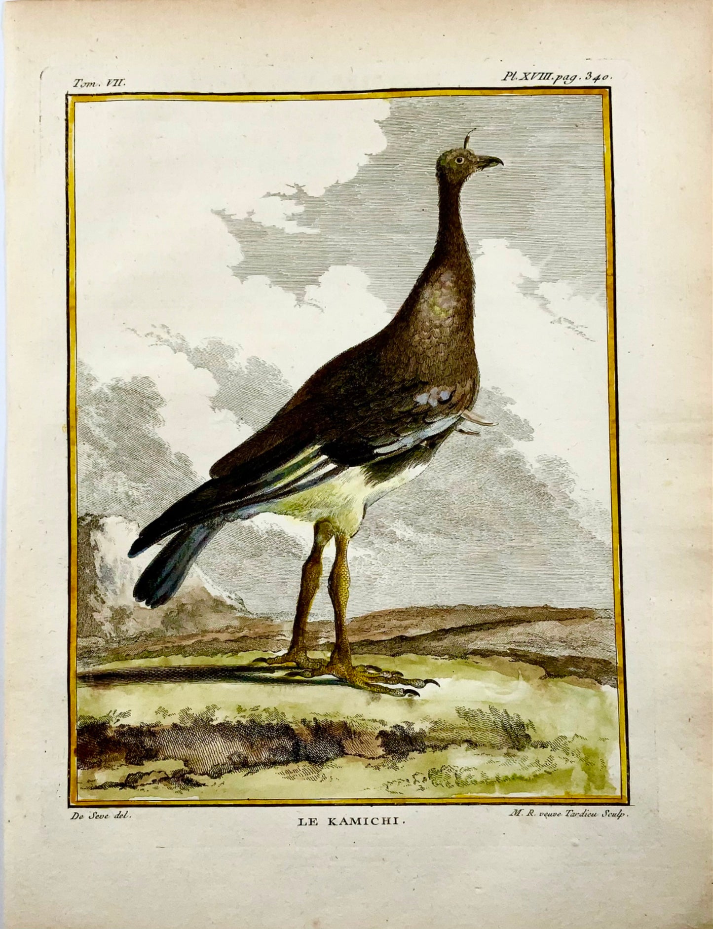 1779 de Seve - S’ern SCREAMER - Ornithology - 4to Large Edn engraving