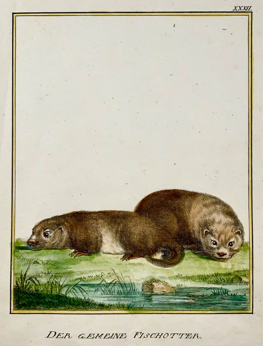 1816 Otter INCUNABULA OF LITHOGRAPHY K. Schmidt 4to hand coloured - Mammal