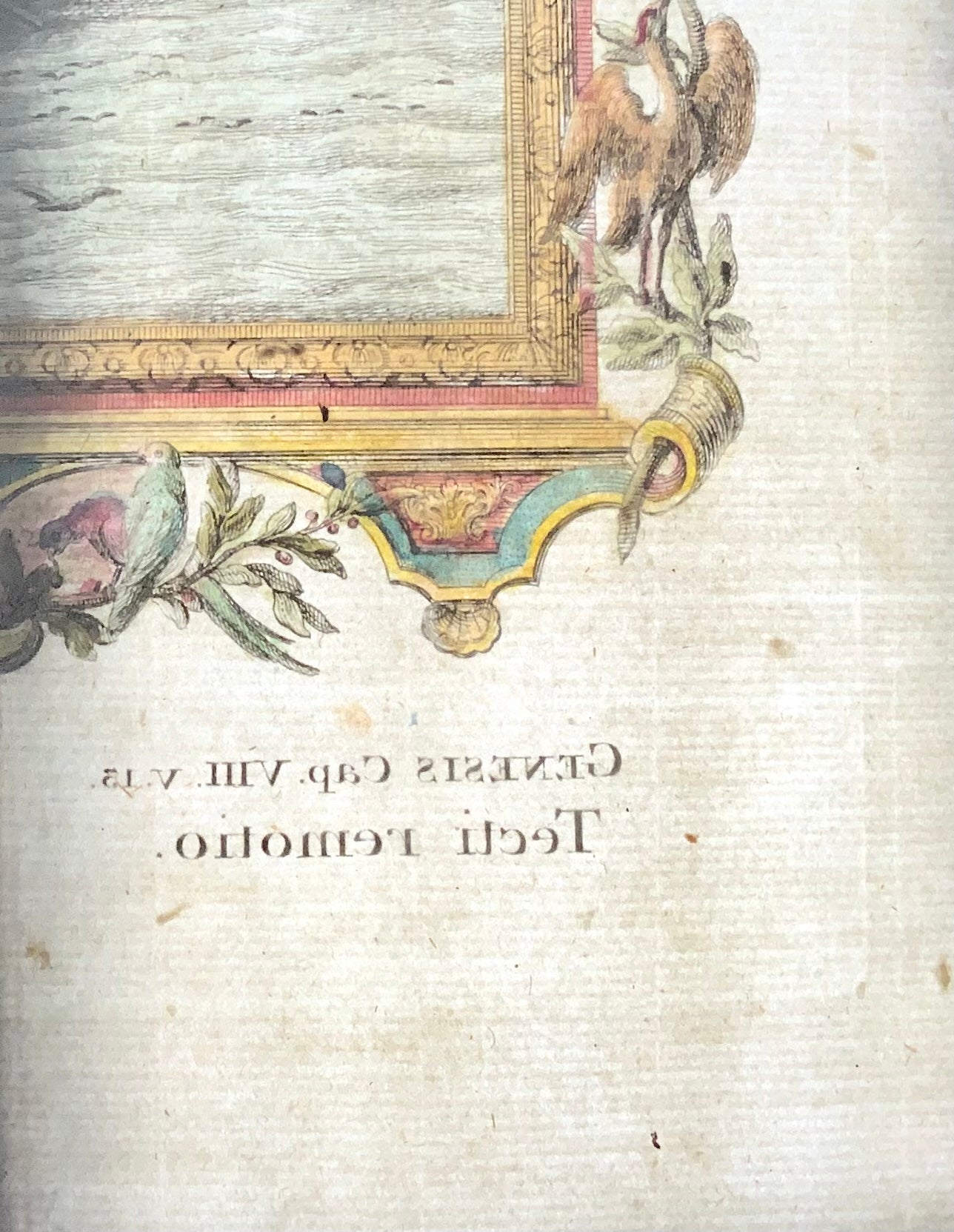 1735 Jean. Jacques. Scheuchzer, gravure biblique, Arche de Noé, folio, coloriée à la main
