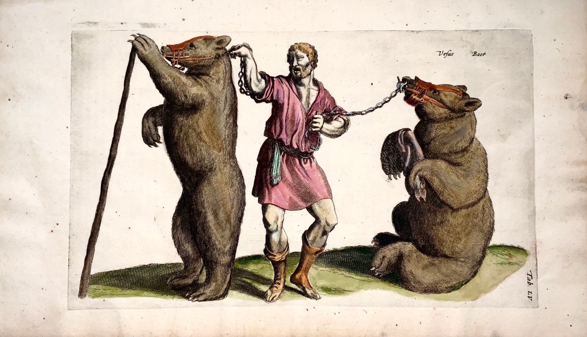 1657 Matthäus Merian - Swiss DANCING BEARS - Folio hand coloured engraving - Mammals