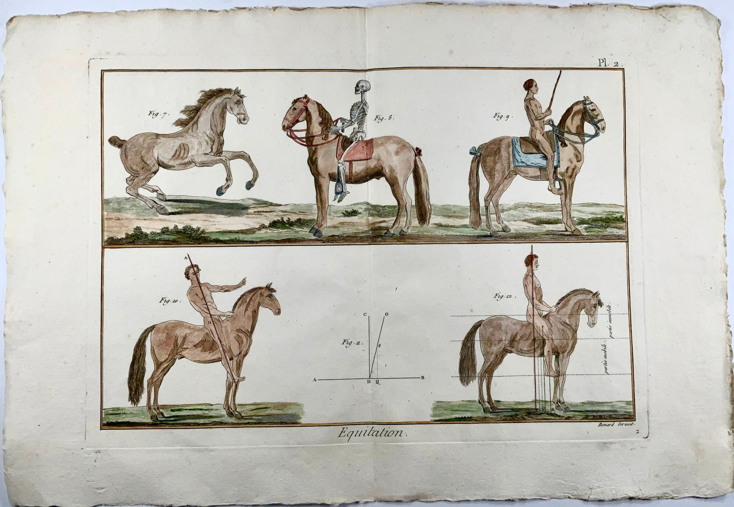 1777 Diderot; Bernard - Equitation, Riding, Posture - Folio - Sport