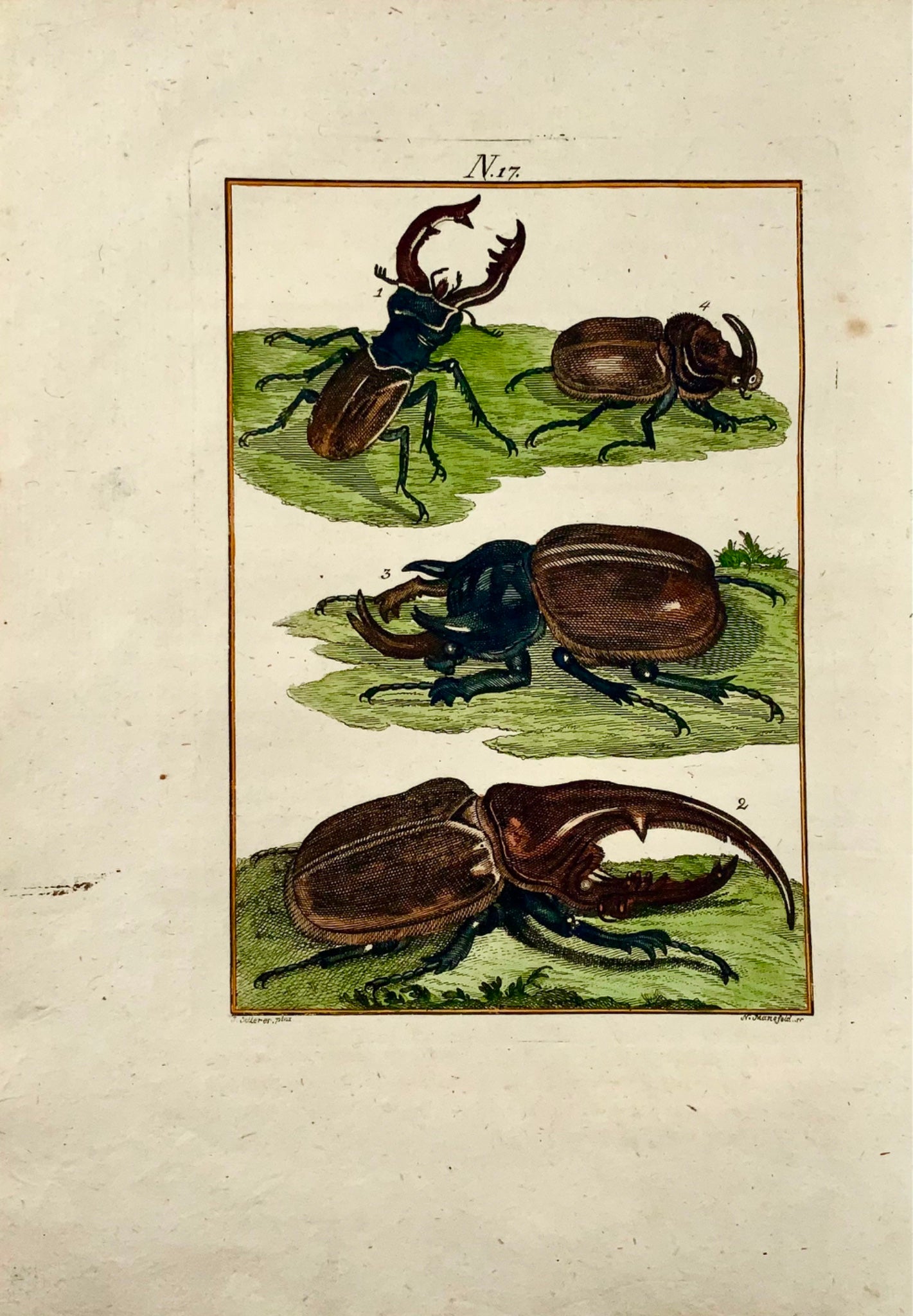 1790 Scarab Beetles, insects, Joh. Sollerer hand coloured engraving