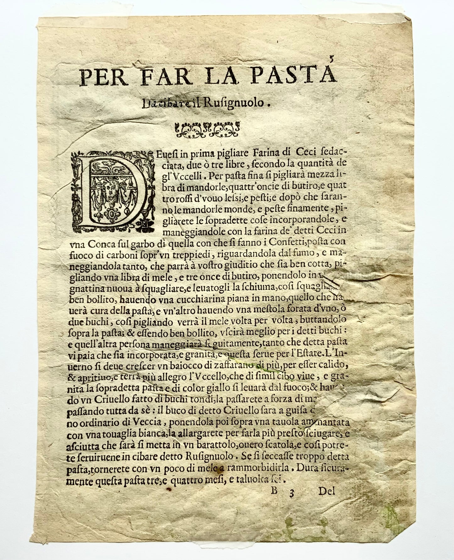 1622 Antonio Tempesta; Le P. Villamena, Perruche [Pâtes Parrochetto], ornithologie 