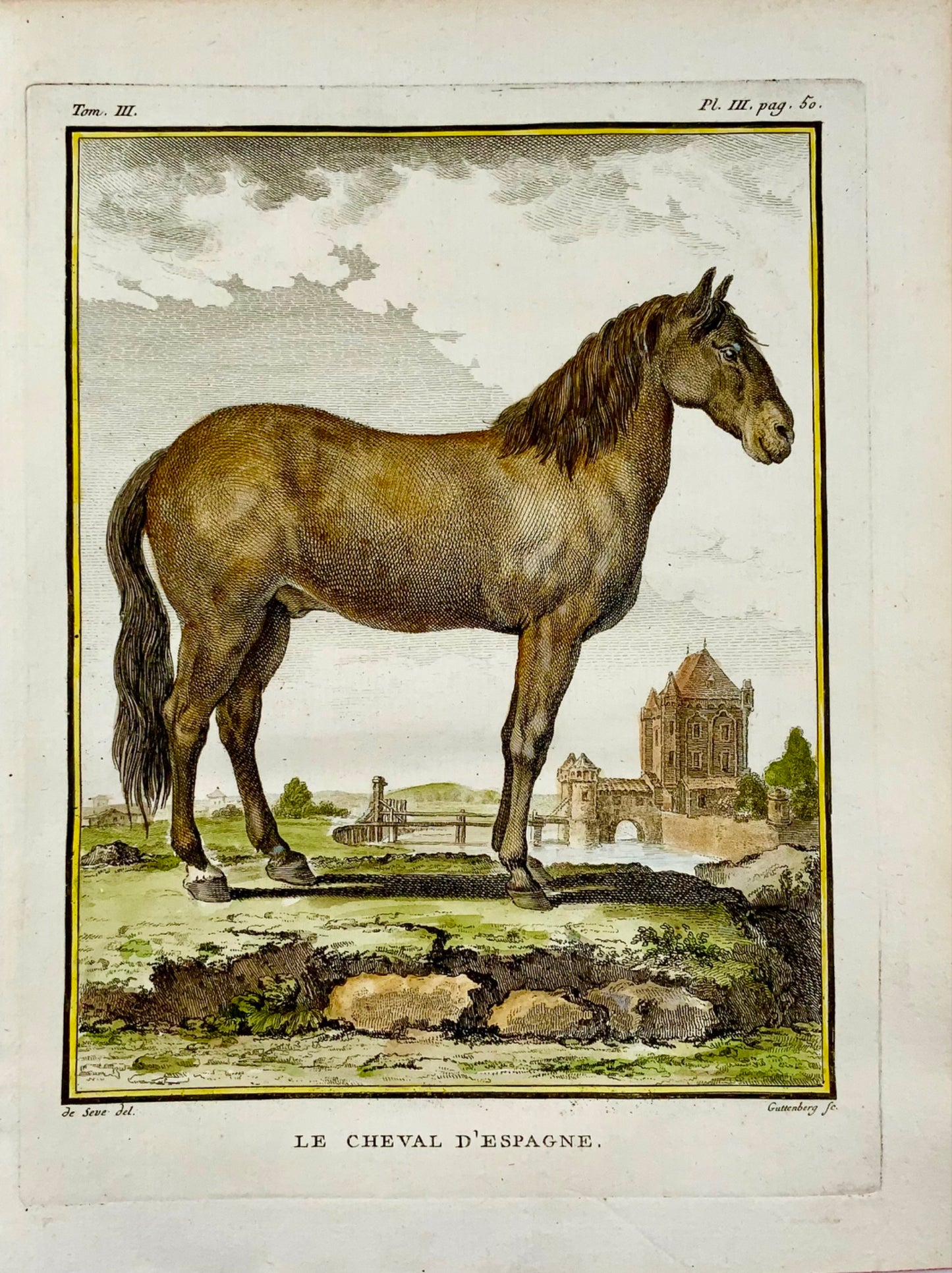 1766 De Seve; CAVALLO spagnolo grande edizione QUARTO incisione colorata a mano - Mammifero