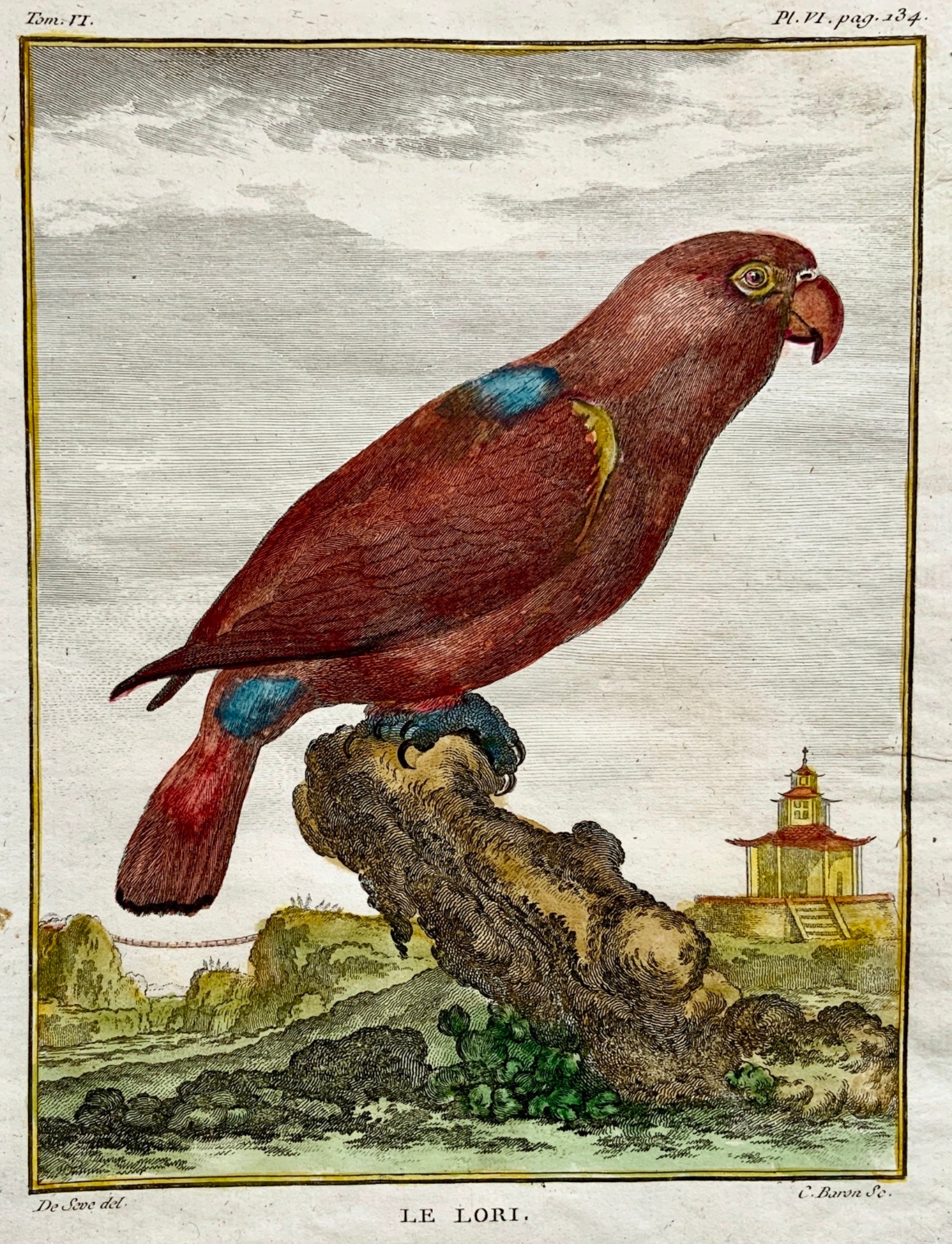 1779 Haussard after Jacques de Seve - Lory Parrot - 4to engraving - Ornithology