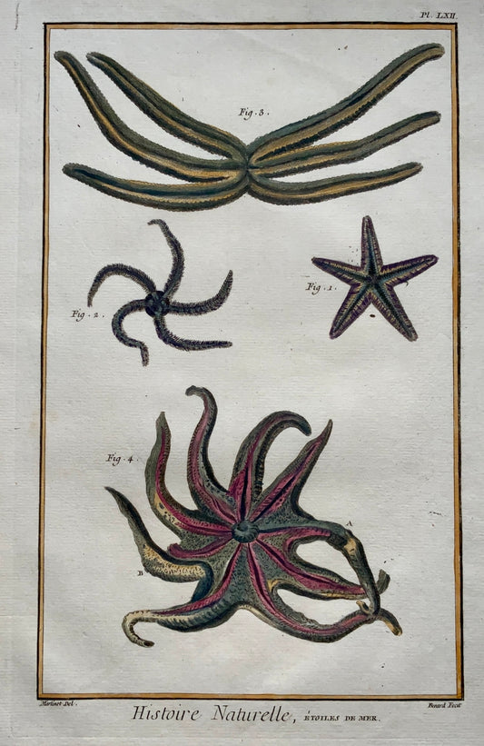 1780 Diderot SEA STARS STARFISH Aquatic Marine - hand coloured FOLIO engraving