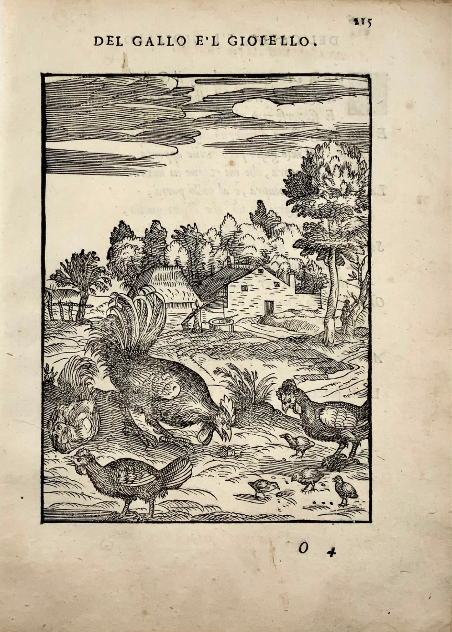 1570 Giovanni Maria Verdizzotti (1525-1600) - woodcut leaf - Poultry Gallo - Ornithology