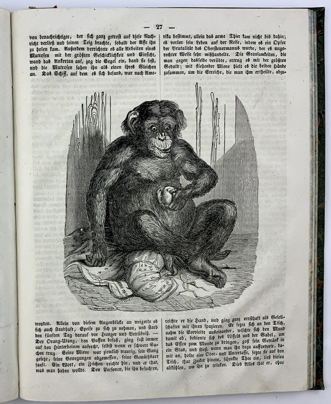 1836-44 Volks-Bibliothek, rare complete set, illustrated, Swiss magazine