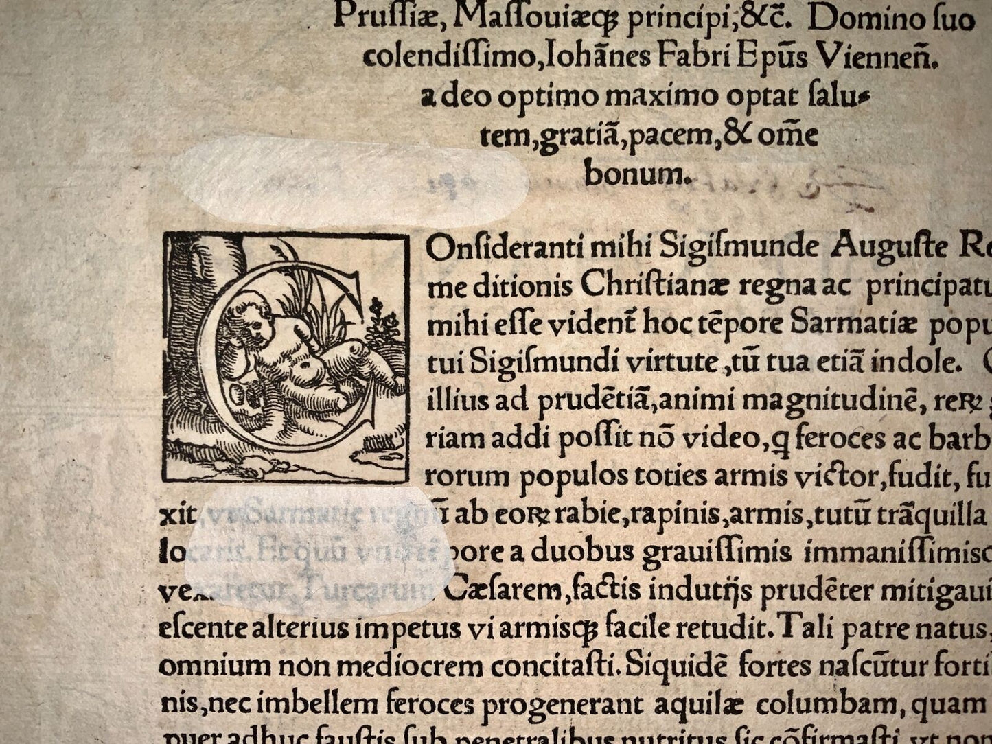 1537 Titolo xilografico, Anton Woensam, bordo xilografico illustrato, Faber, religione