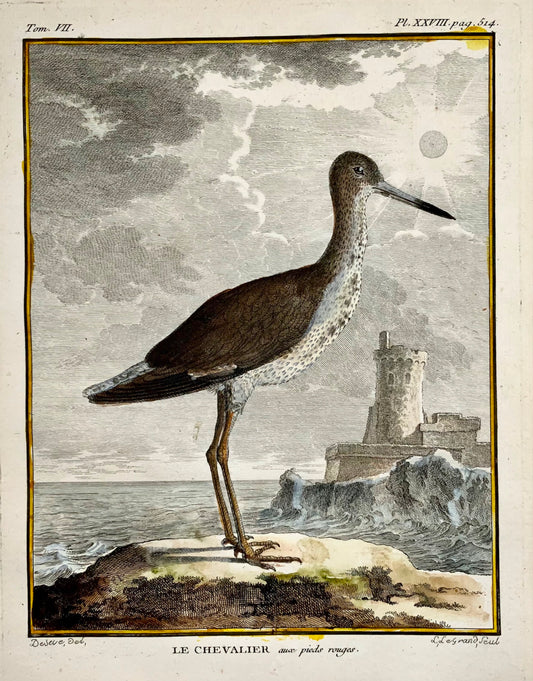 1779 de Seve - CHAMBRE ROUGE COMMUN - Ornithologie - Gravure in-4 grande édition