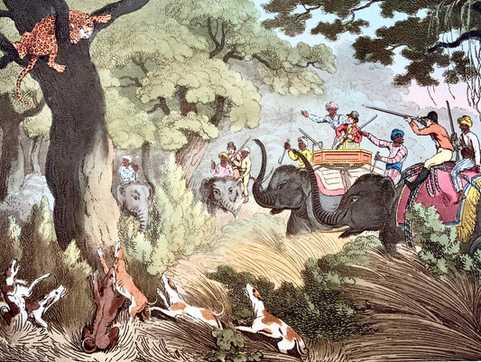 1807 gio. Williamson, The Tiger Hunt, acquatinta colorata a mano, sport, caccia