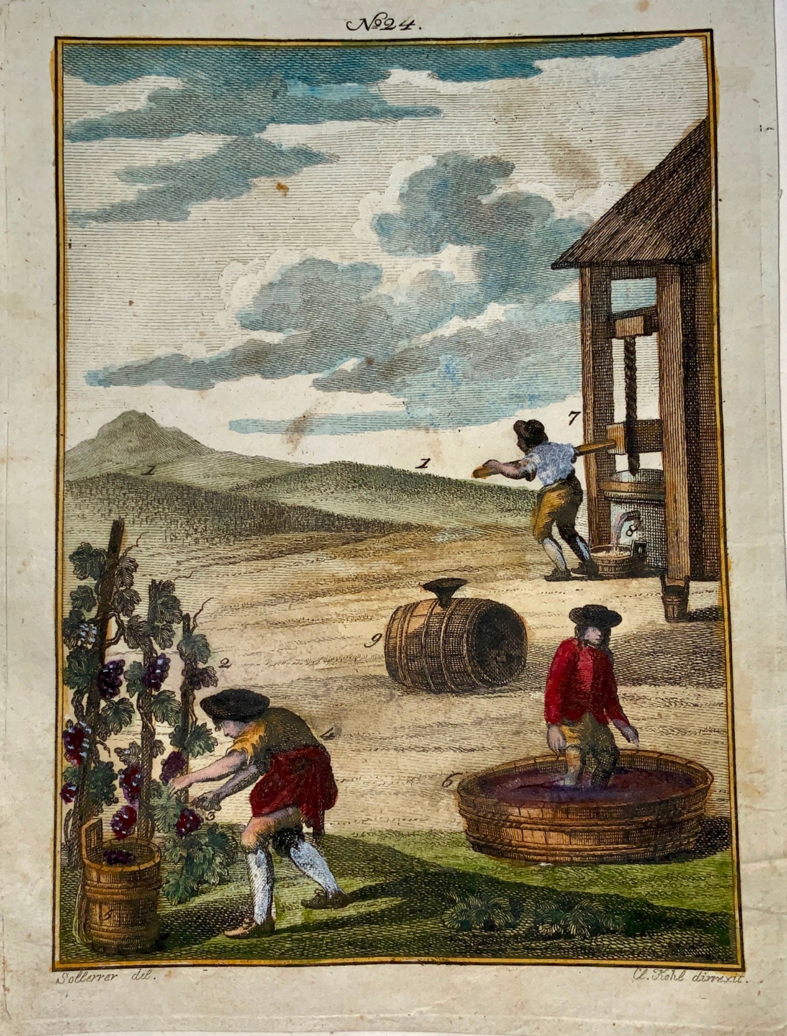 1790 VINTNER Wine Vineyard - Joh. Sollerer hand coloured engraving