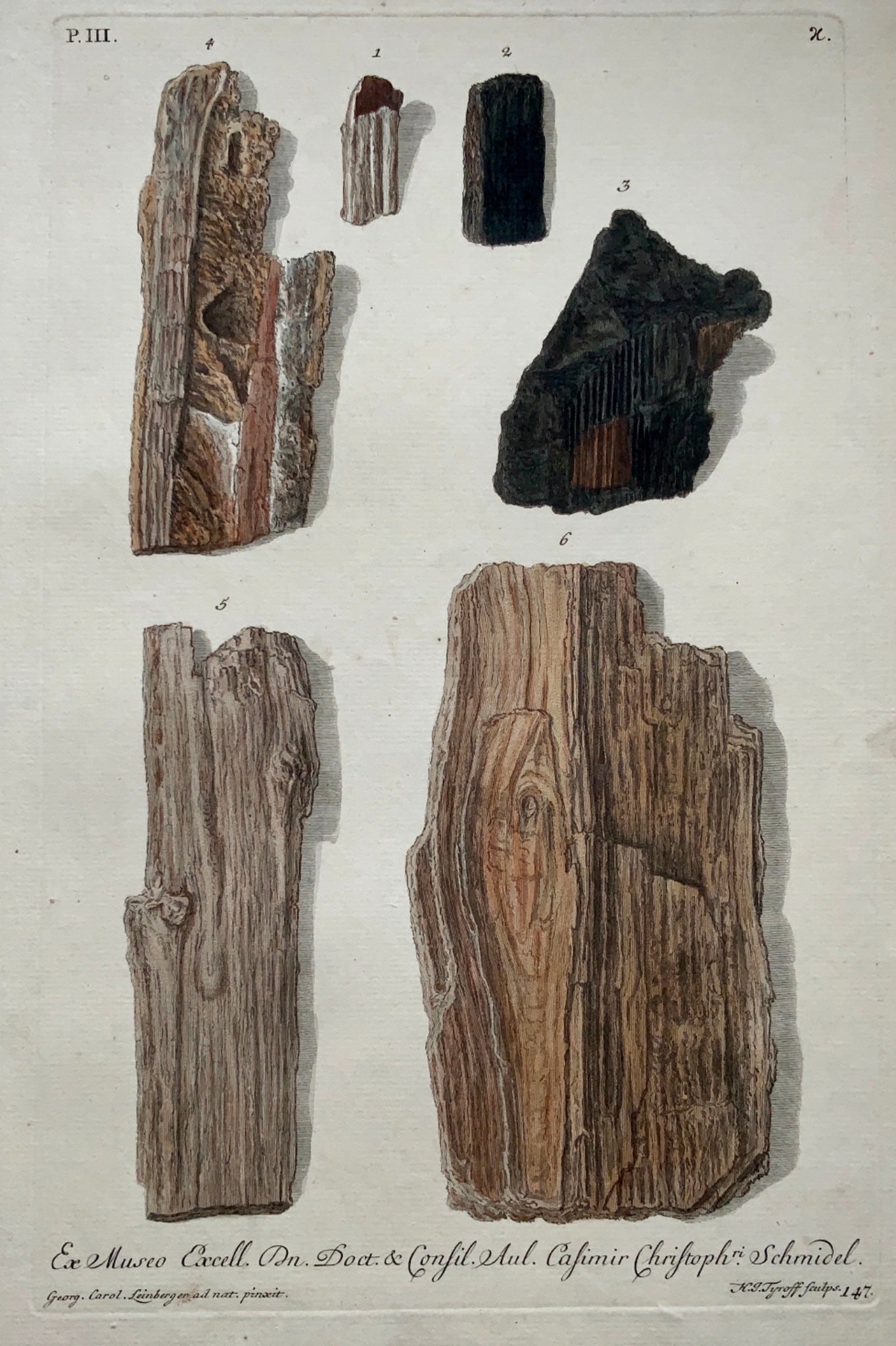 G. W. Knorr (1705-1761); Leinberger - Paleontology Ex Museo Schmidel - Folio hc - Fossils