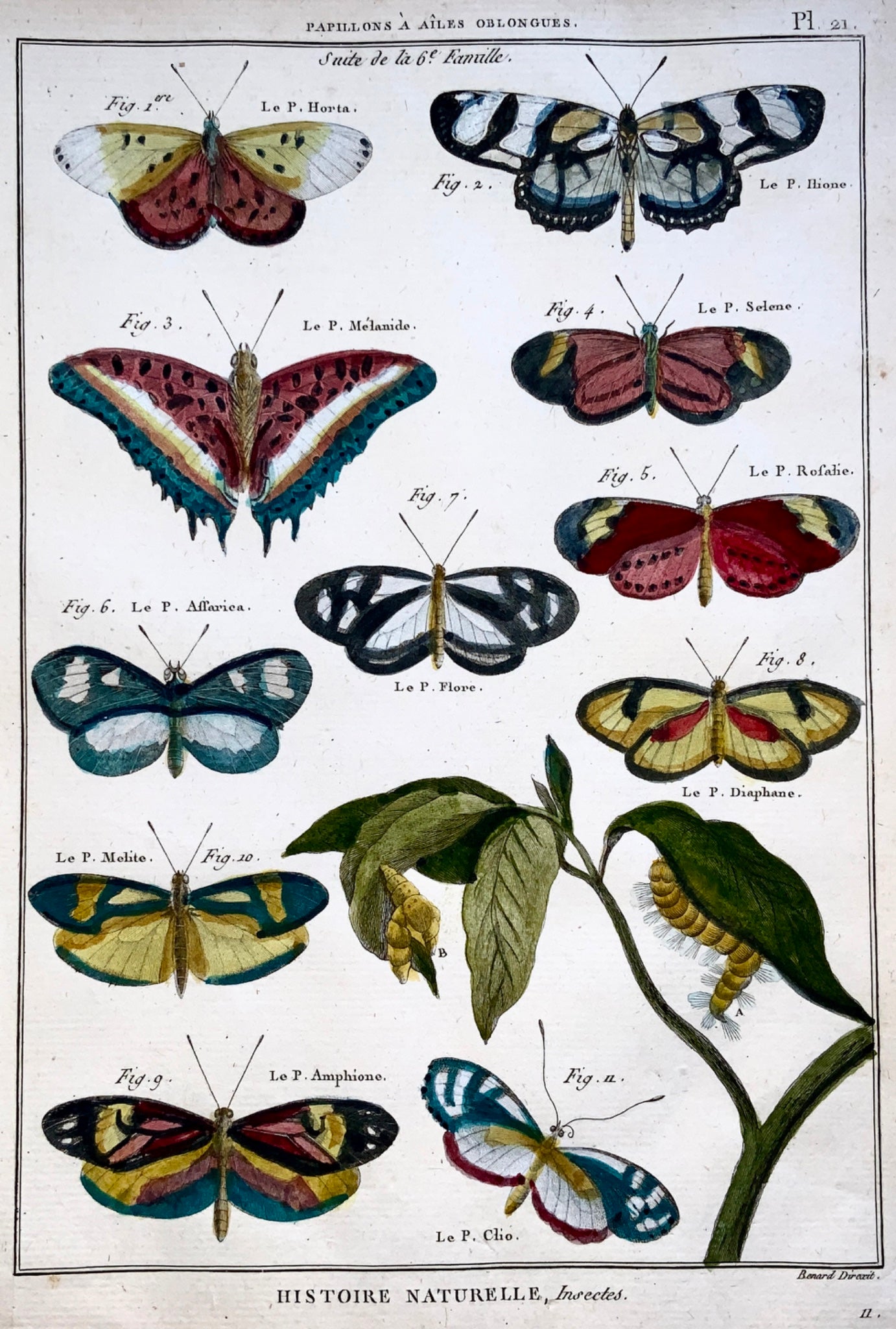 1794 Latreille; Handcol quarto copper engraving Butterflies ‘Papillons ailes’