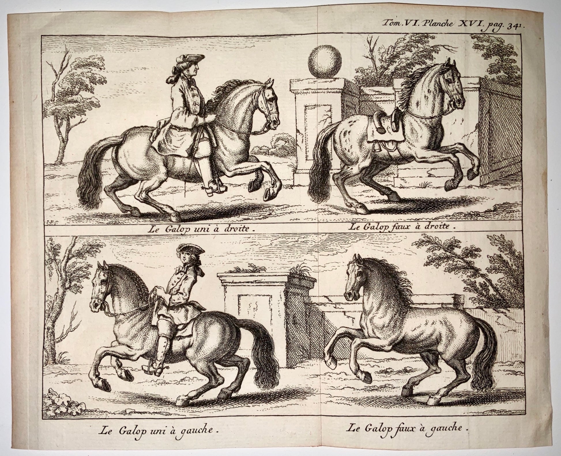 1752 J. R. Rindinger (after) - Le Galop - EQUESTRIAN Dressage - engraving