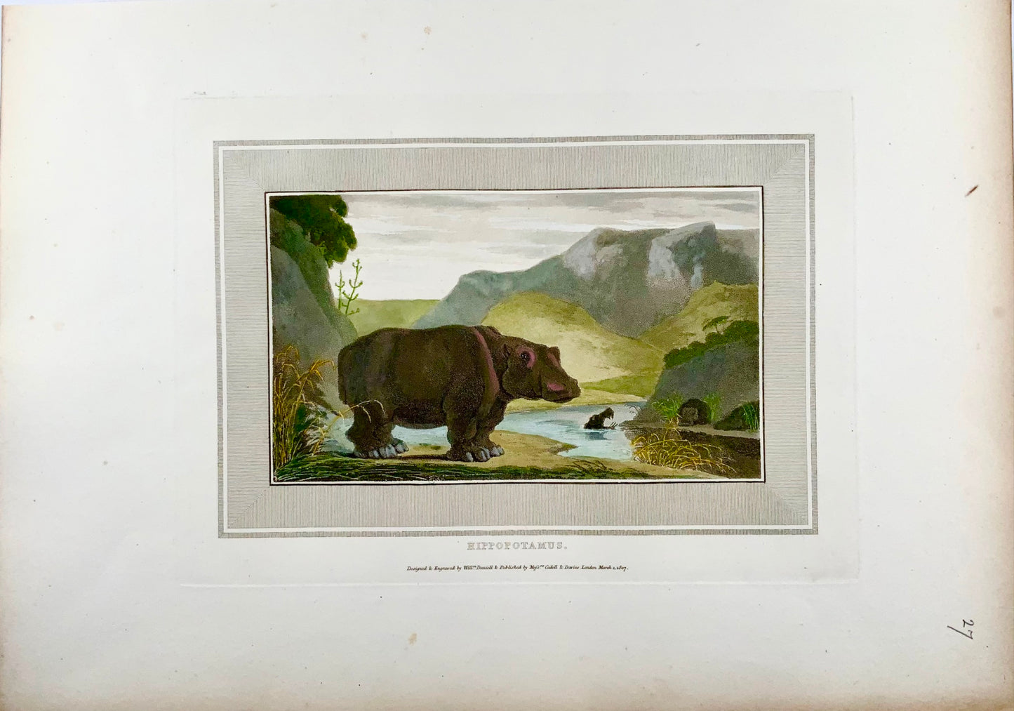1809 William Daniell, Hippopotamus, mammal, hand coloured aquatint