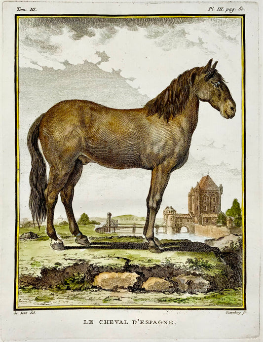 1766 De Seve; Spanish HORSE large QUARTO edition hand colored engraving - Mammal
