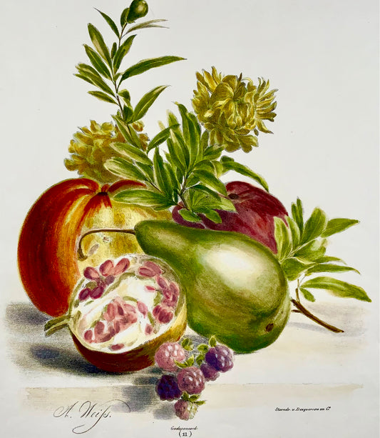 1836 A. Weiss; Desguerrois - Fine Bouquet of Fruit - original hand colour